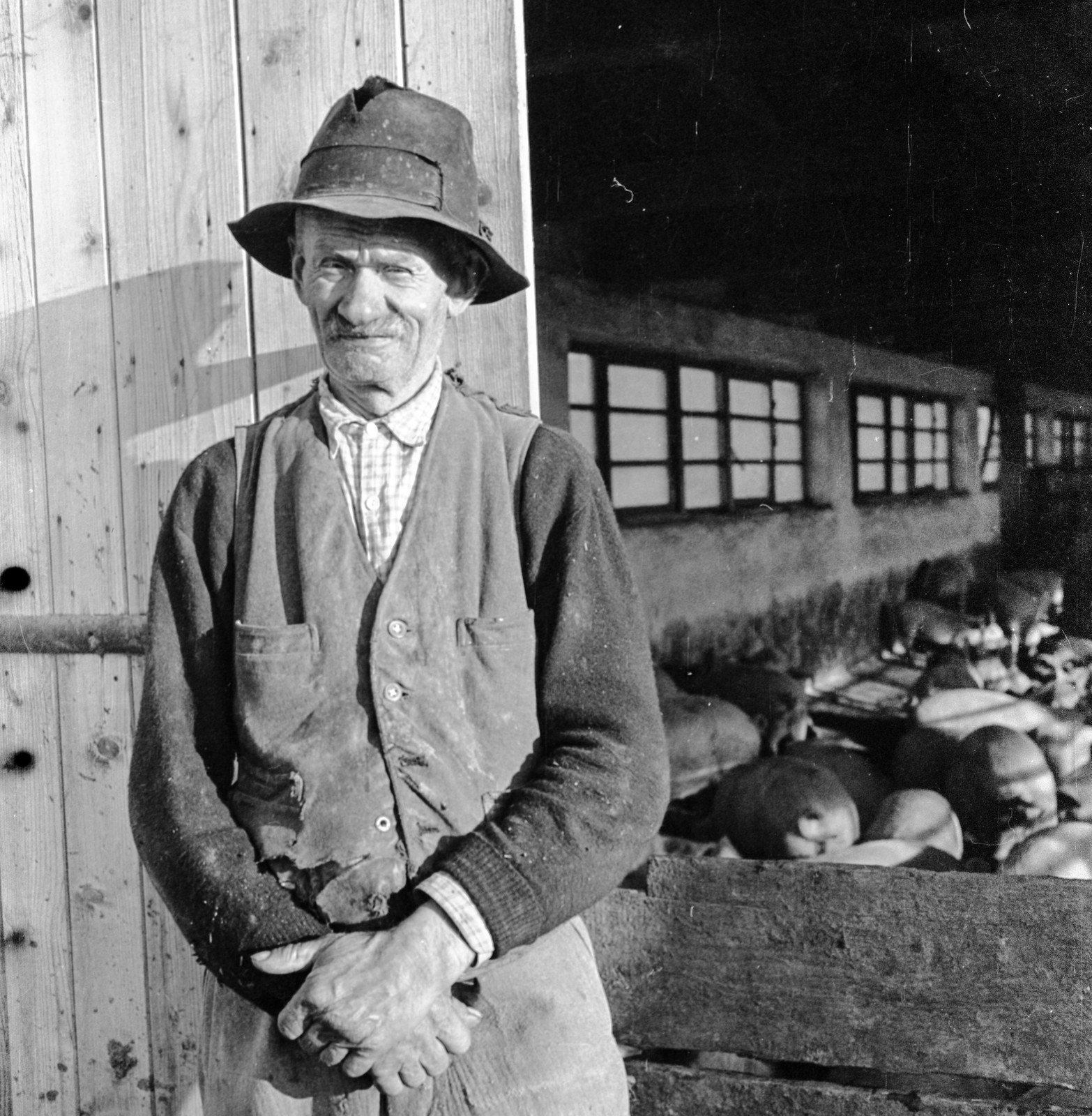 1959, Zsanda Zsolt, Vajszada Károly, portrait, pig, posture, old person, Fortepan #53825