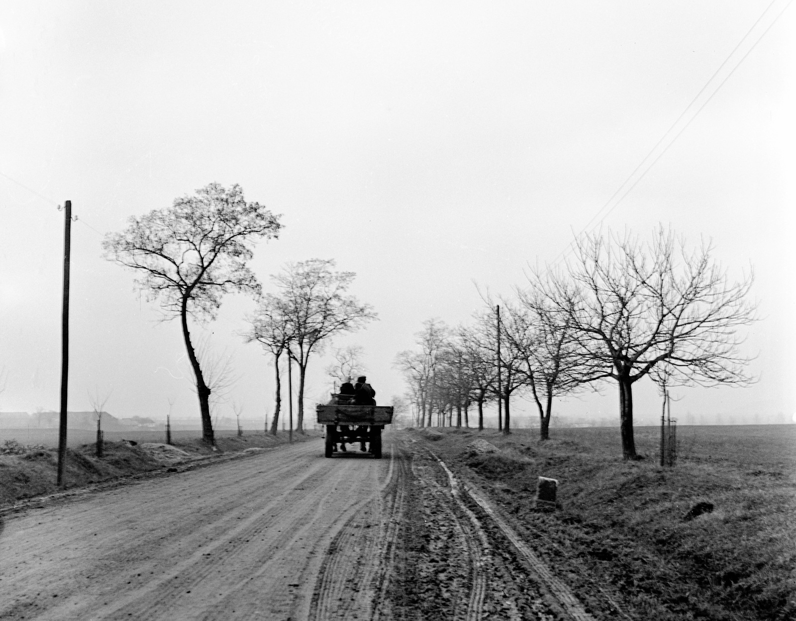 1959, Zsanda Zsolt, Vajszada Károly, lovaskocsi, Fortepan #53836