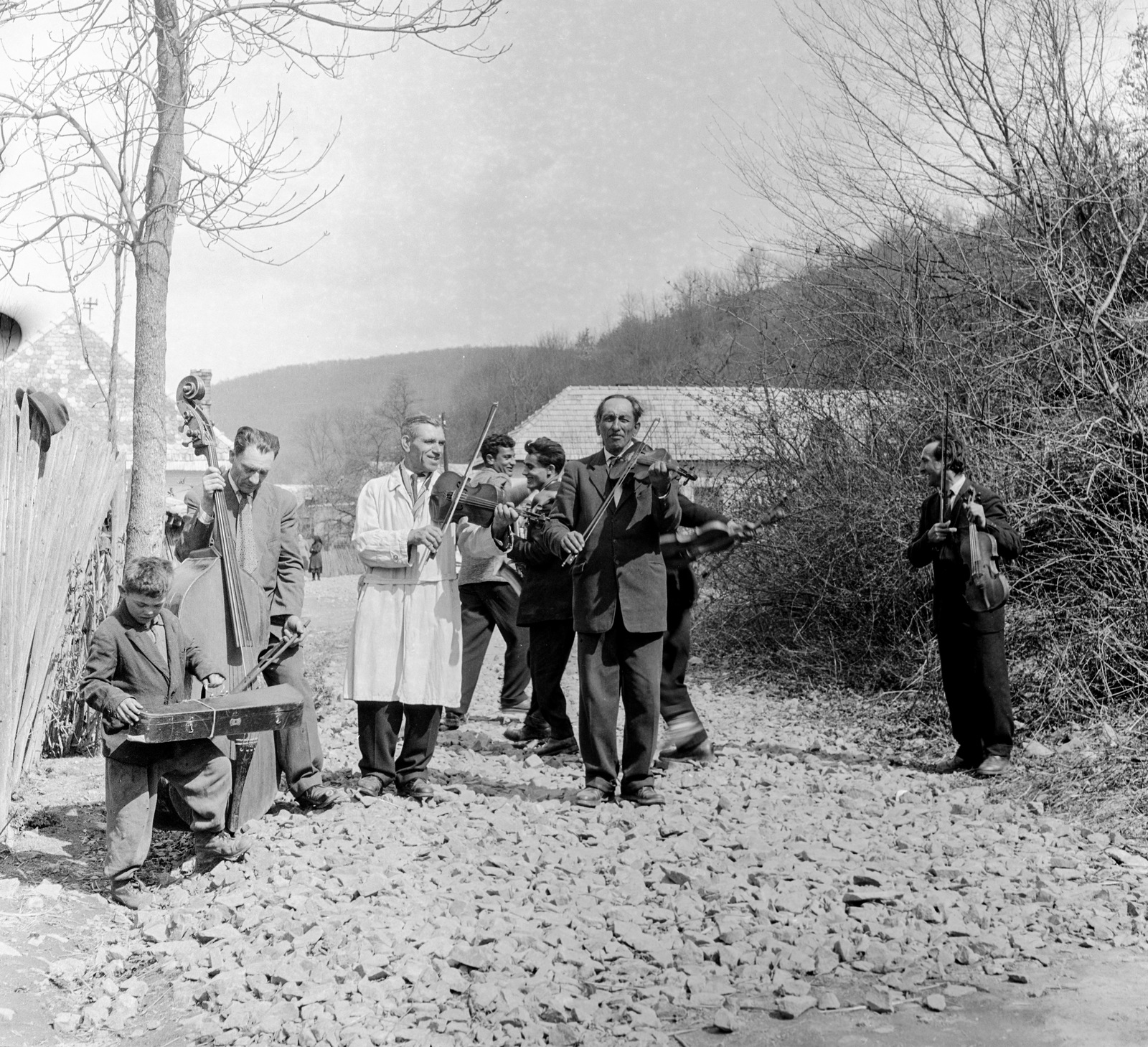 1959, Zsanda Zsolt, Vajszada Károly, musical instrument, band, violin, double bass, Fortepan #53860