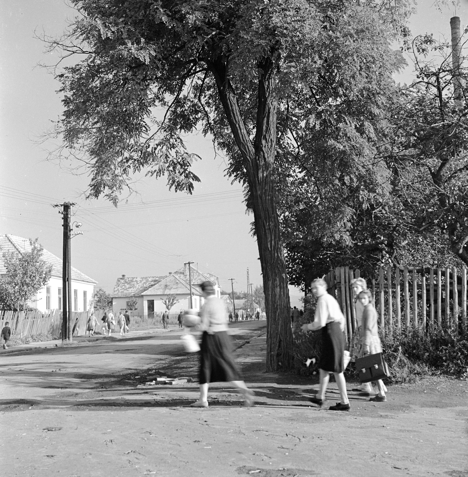 Slovakia, Poltár, ulica Zeleznicná, a vasútállomásnál., 1960, Zsanda Zsolt, Vajszada Károly, Czechoslovakia, lath fence, Fortepan #53945