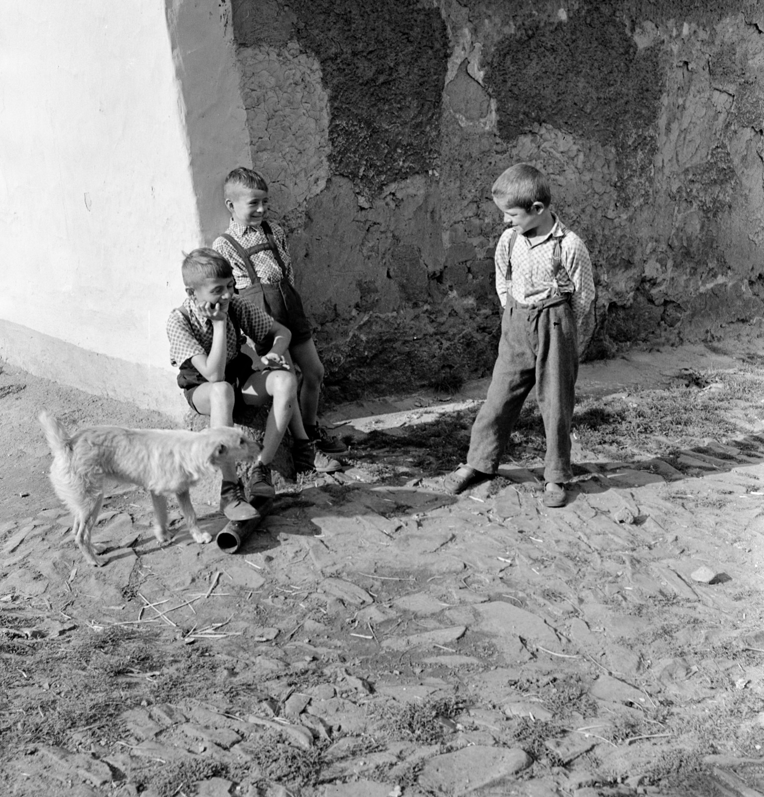 Slovakia, Fiľakovo, ulica Podhradska (Várfelső utca)., 1960, Zsanda Zsolt, Vajszada Károly, Czechoslovakia, dog, boys, Fortepan #53975