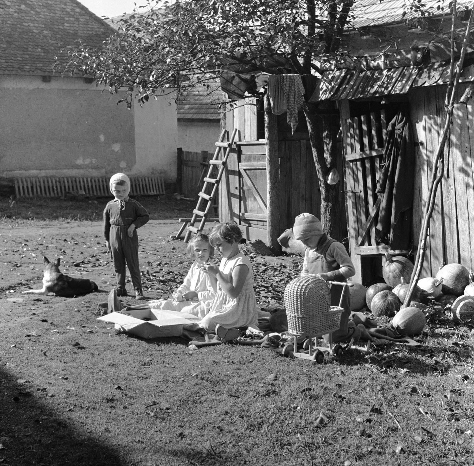 1960, Zsanda Zsolt, Vajszada Károly, yard, baby carriage, ladder, toy, squash, Fortepan #53981
