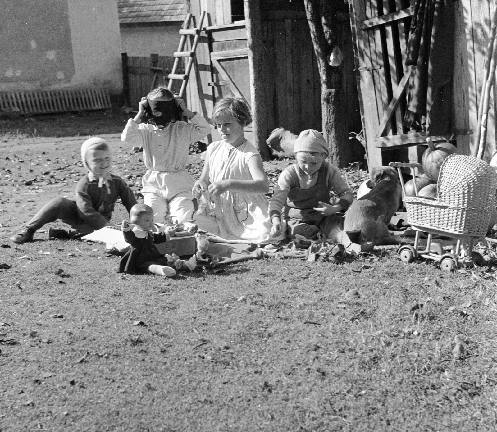 1960, Zsanda Zsolt, Vajszada Károly, dog, baby carriage, doll, ladder, toy, melon, squash, Fortepan #53984