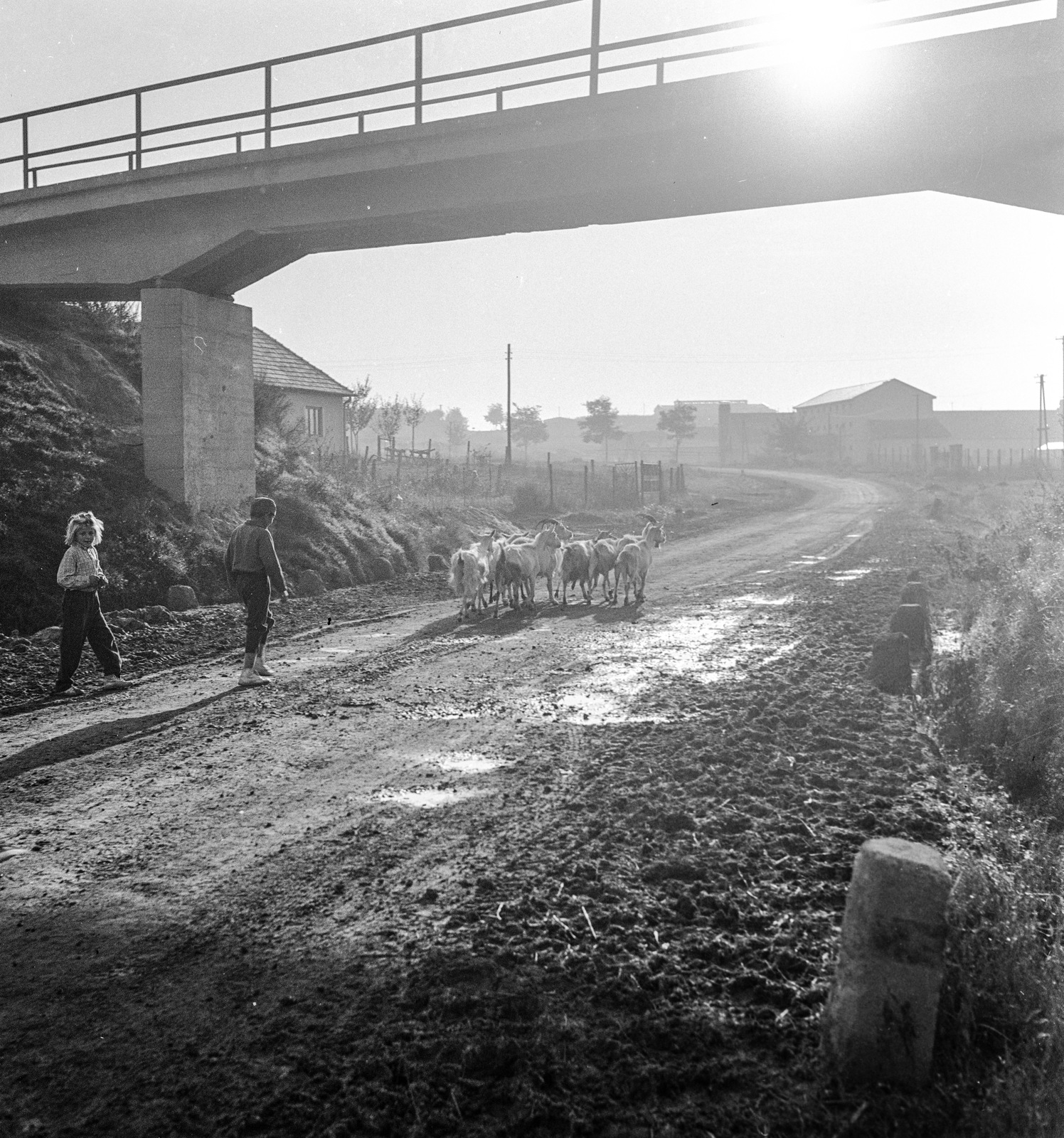 Slovakia, Poltár, híd az ulica 9. mája felett, az ulica Podhorská felől nézve., 1960, Zsanda Zsolt, Vajszada Károly, Czechoslovakia, bridge, goat, Fortepan #54007