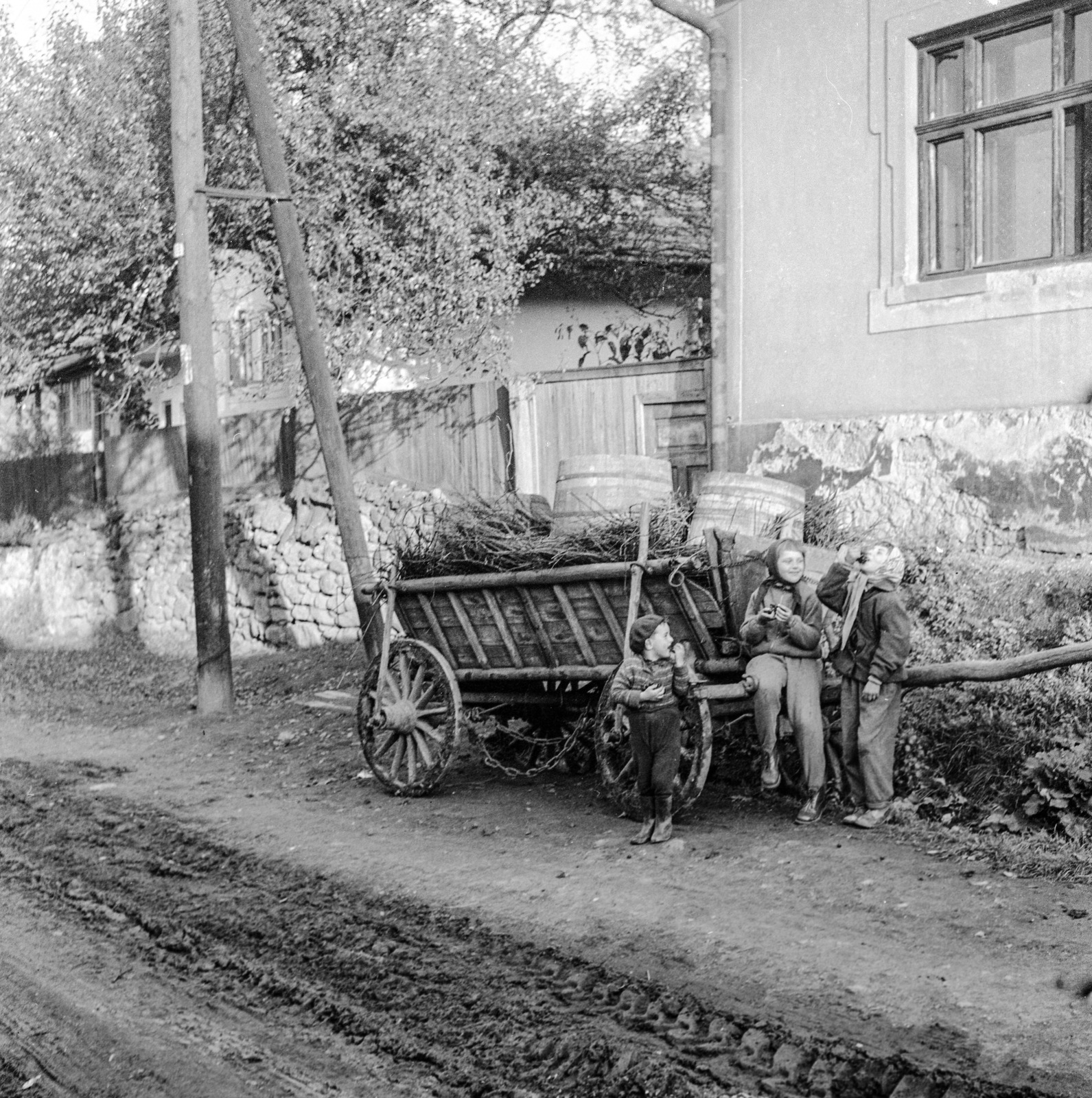 Slovakia, Fiľakovo, ulica Podhradska (Várfelső utca)., 1960, Zsanda Zsolt, Vajszada Károly, village, chariot, barrel, kids, mud, wellingtons, Fortepan #54019