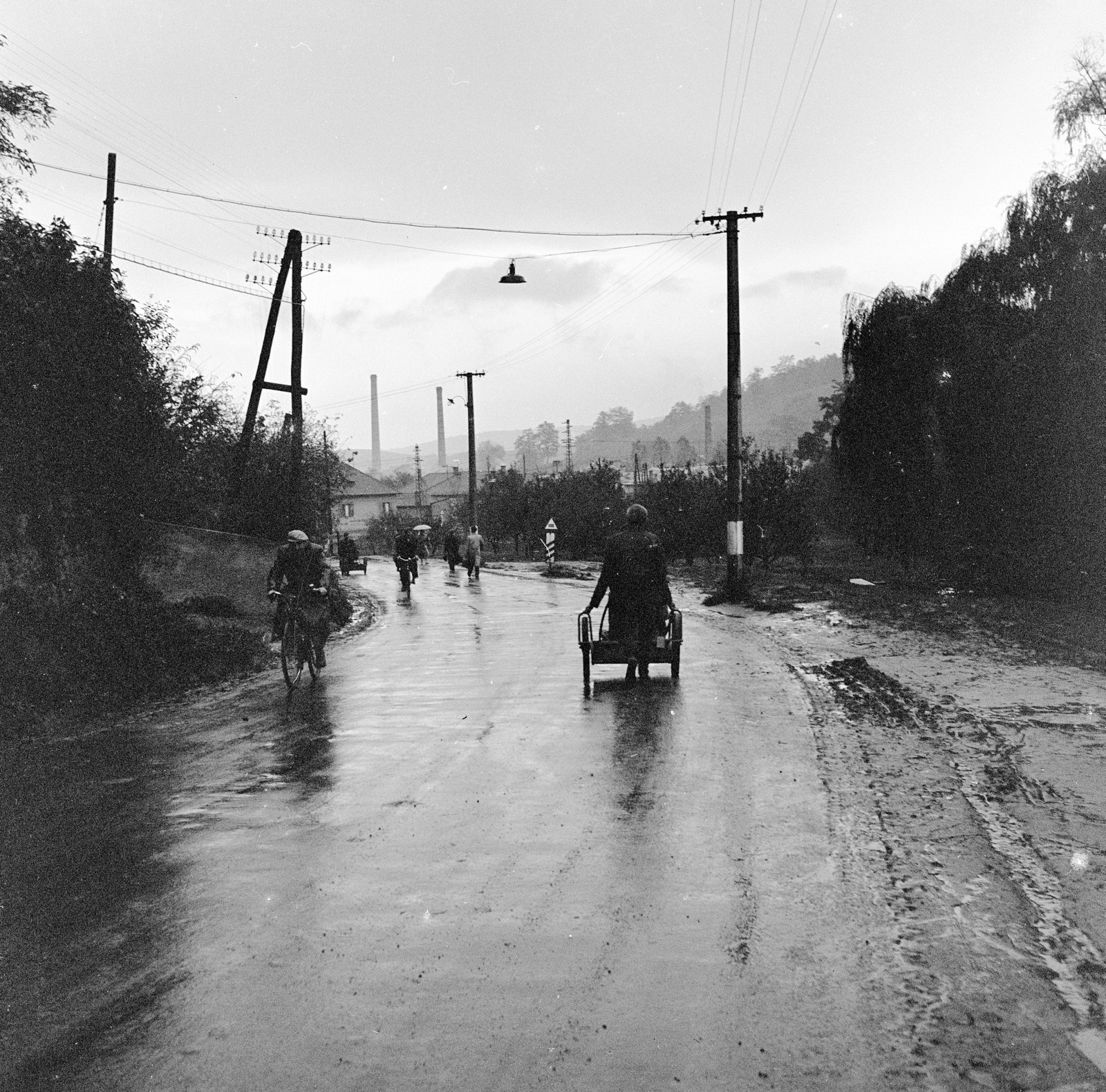 Slovakia, Fiľakovo, ulica Slovenského národného povstania (Szlovák Nemzeti Felkelés)., 1960, Zsanda Zsolt, Vajszada Károly, Czechoslovakia, bicycle, handbarrow, rain, Fortepan #54025