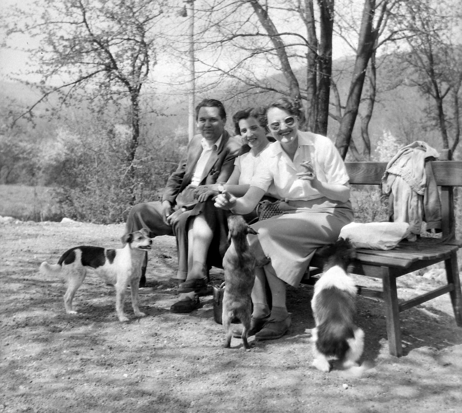 Magyarország, Verőce, (Nógrádverőce), Magyarkút, erdei pihenő a MÁVAG üdülő környékén., 1955, Gyöngyi, kutya, MÁVAG-márka, üdülőhely, Fortepan #5420