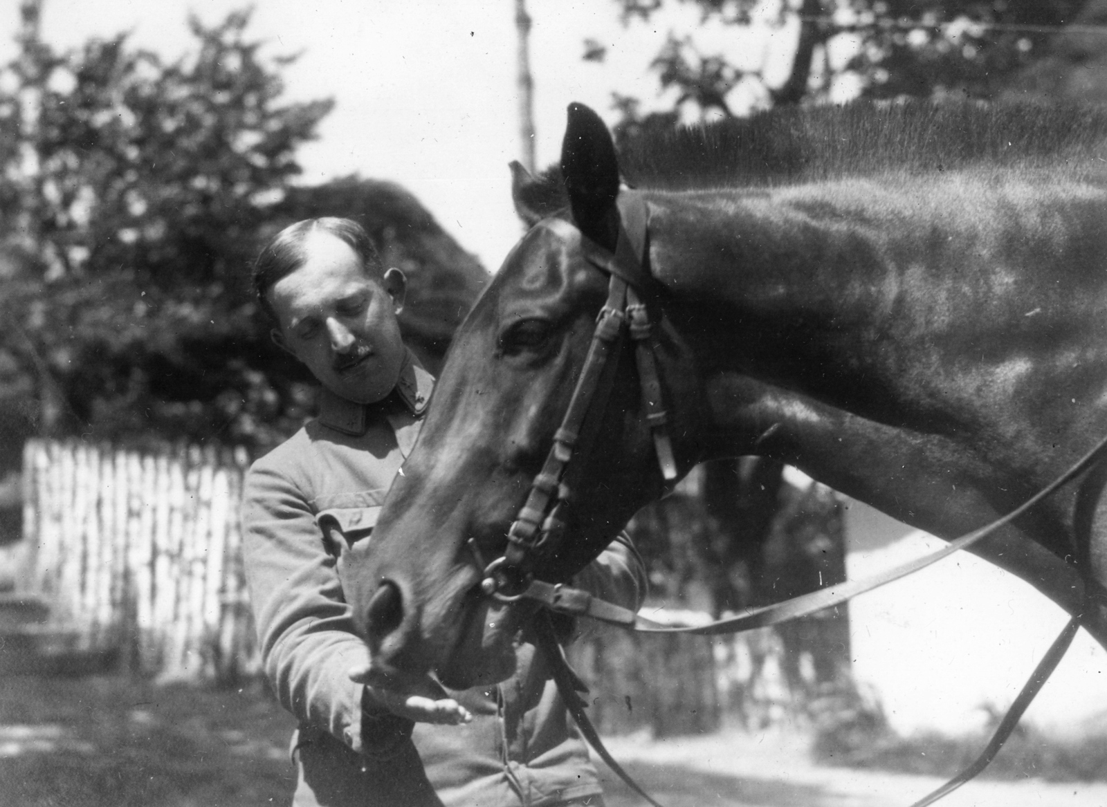 Ukraine, Reniv, (ekkor Reniow)., 1917, Urbán gyűjtemény, First World War, horse, Fortepan #54346