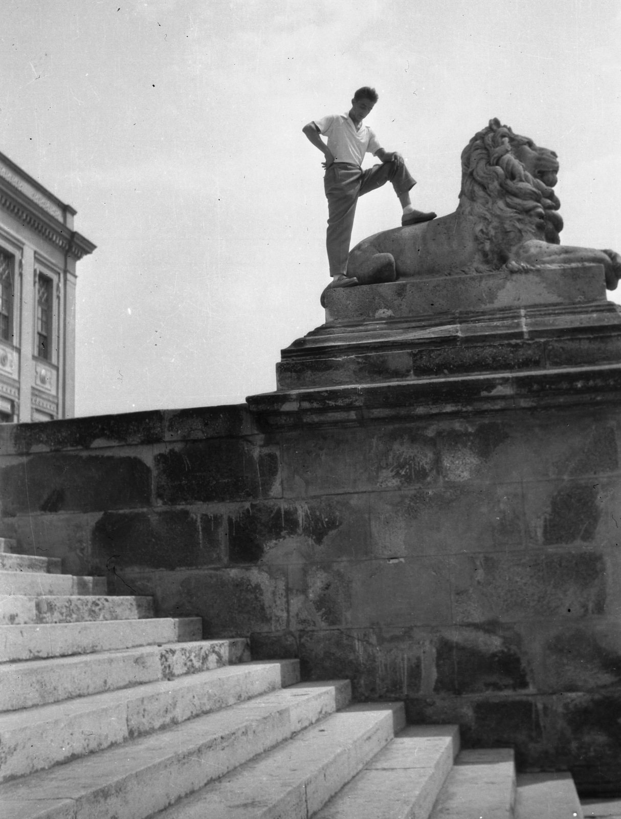 Hungary, Szeged, Móra Ferenc múzeum., 1964, Vaskúti György, stairs, museum, stone lion, Adolf Láng-design, Neoclassical architecture, Antal Steinhardt-design, Fortepan #54400