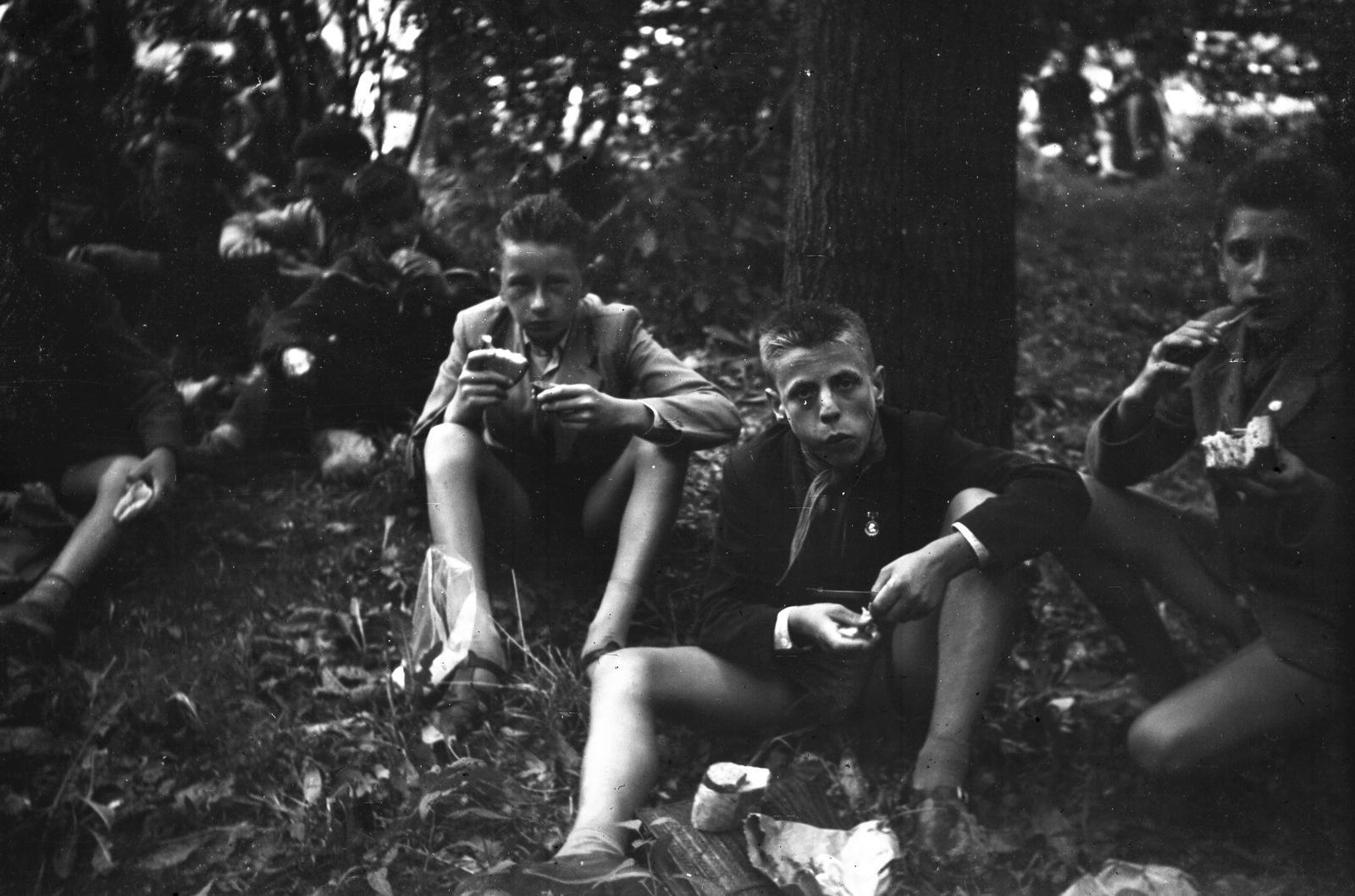 Magyarország, Vaskút, a felvétel a település fenyveserdejében készült., 1959, Vaskúti György, étkezés, Fortepan #54417