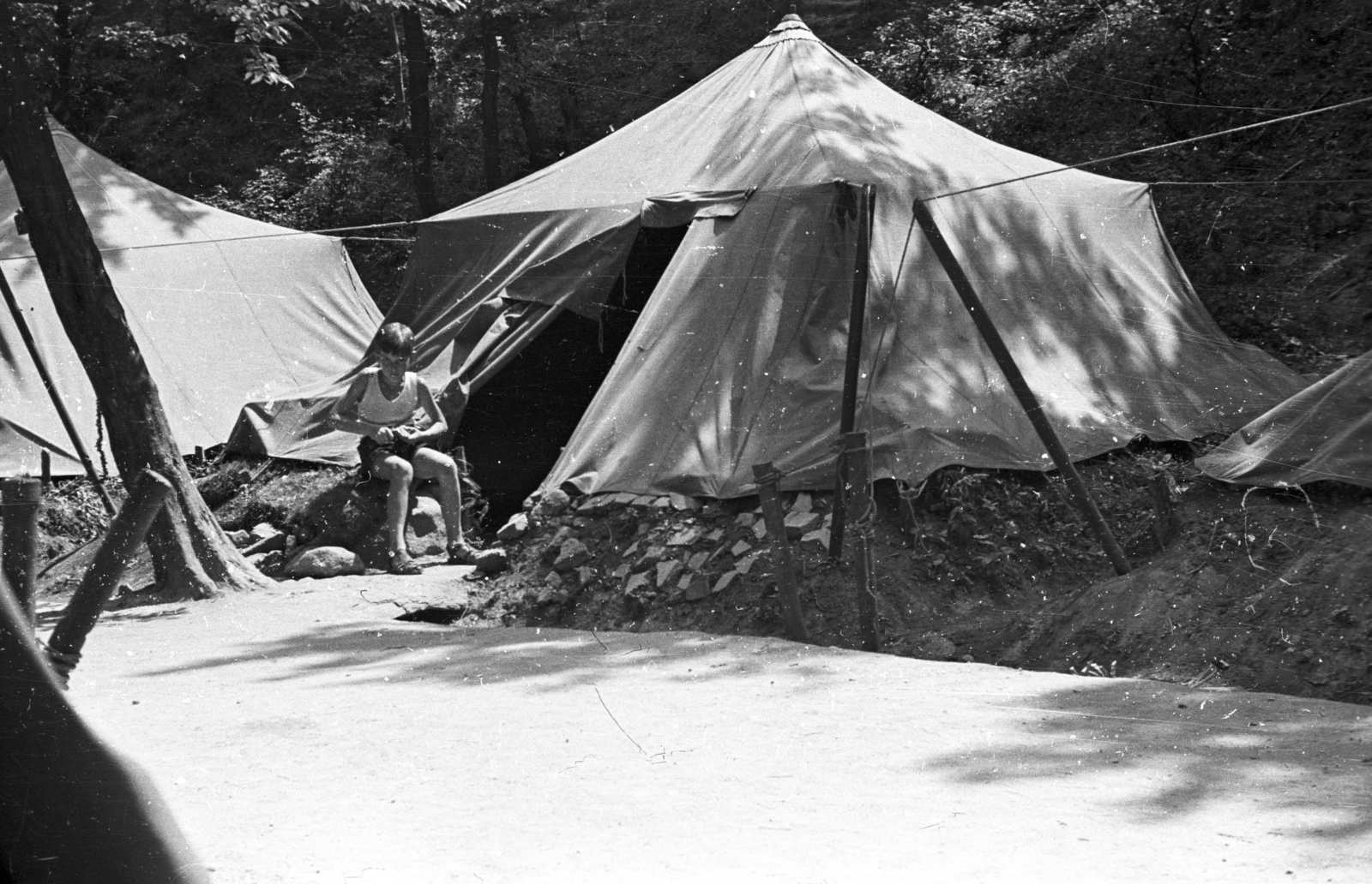 1958, Lencse Zoltán, tent, Fortepan #54546