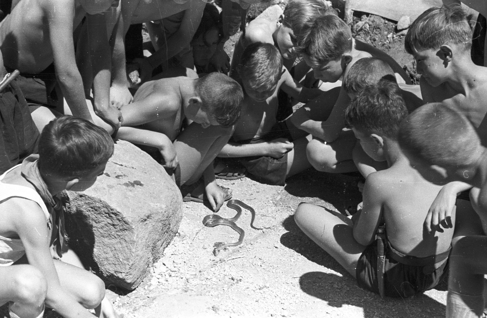 1958, Lencse Zoltán, free time, tie, pioneer, holiday, summer, camp, boys, rock, ratsnake, Fortepan #54547