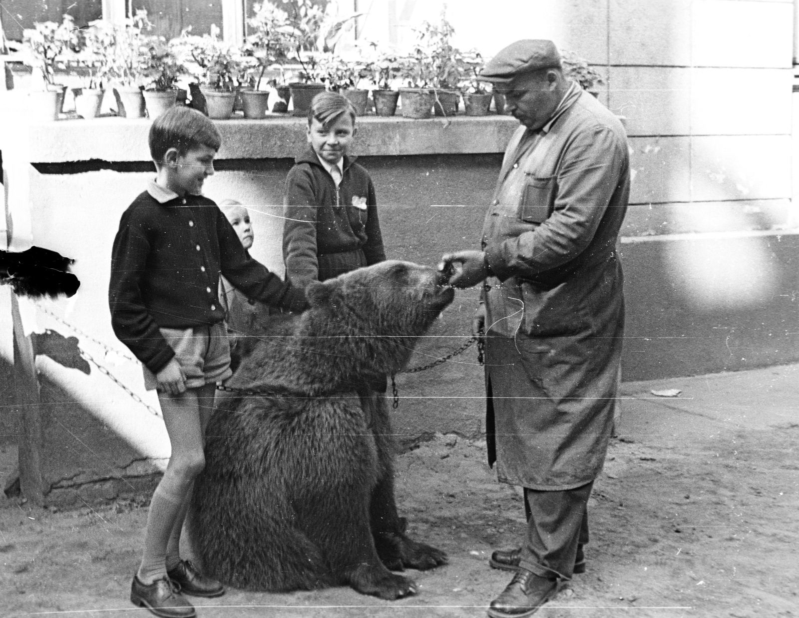 Hungary, 1958, Lencse Zoltán, tableau, terrace, flower, bear, man, boys, workout clothes, Fortepan #54579