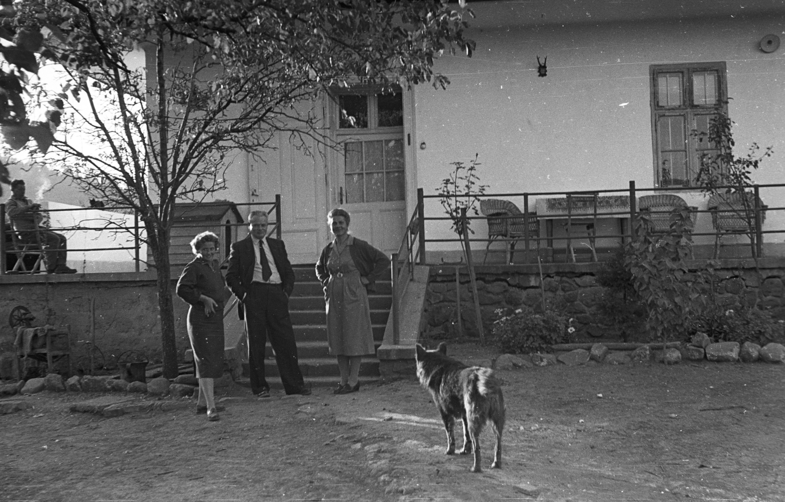 1959, Lencse Zoltán, dog, Fortepan #54820