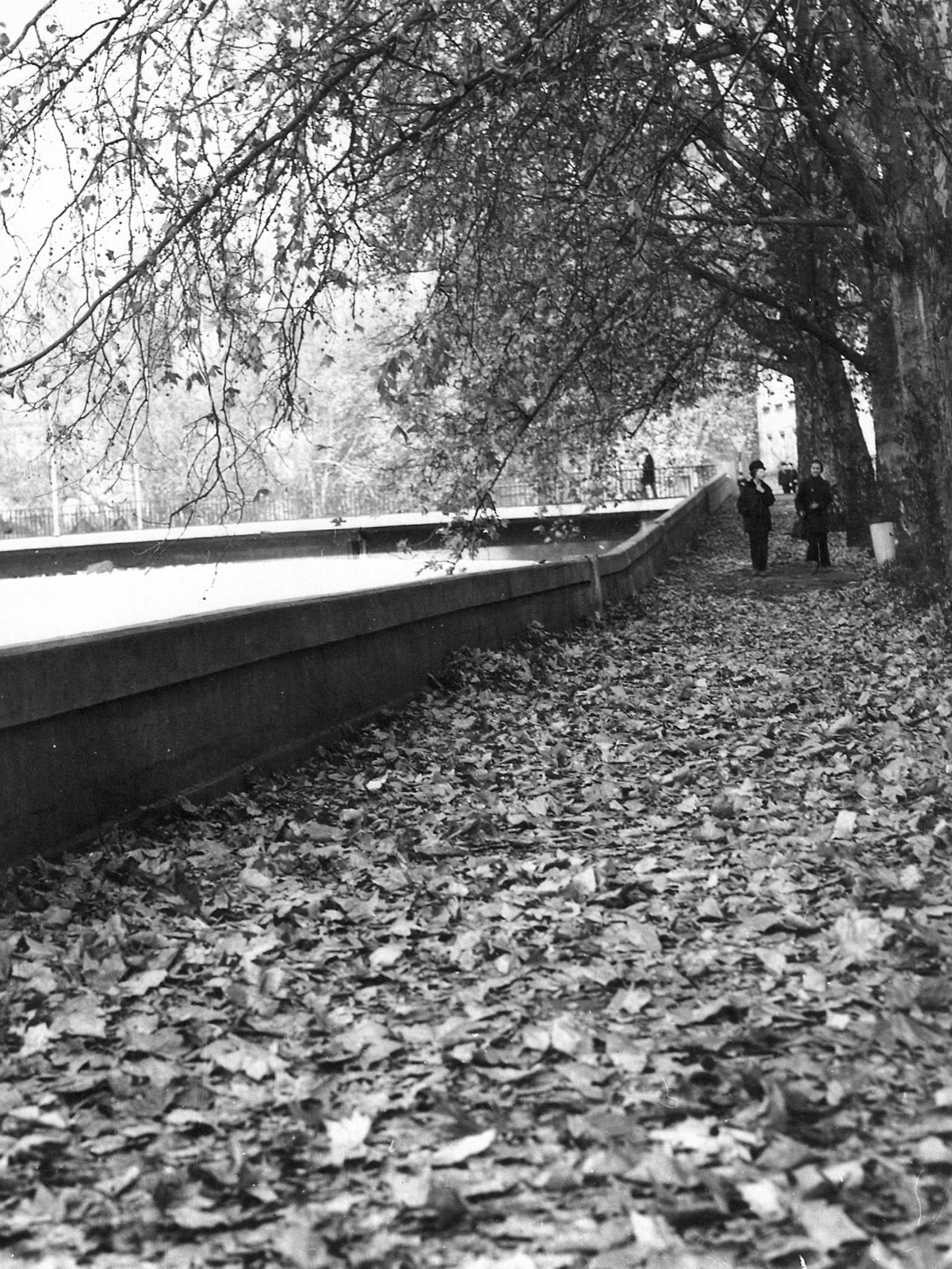 Hungary, Esztergom, Kis Duna (Lenin) sétány, szemben a Bottyán híd., 1975, Vörös István, autumn, Fortepan #54961