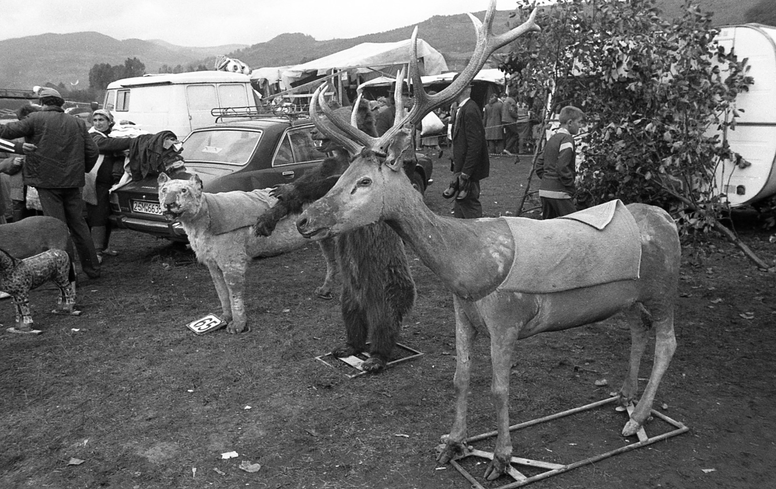 Romania,Transylvania, Negreni, országos vásár., 1988, Vova, bear, fair, taxidermy, Fortepan #55046