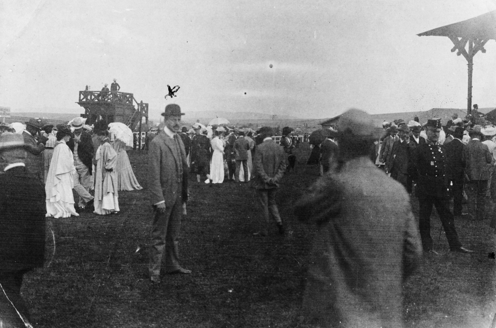 Hungary, Magyar Elek újságíró, gasztronómiai szakíró a lóversenypályán., 1908, Magyar Bálint, horse race, Fortepan #55293