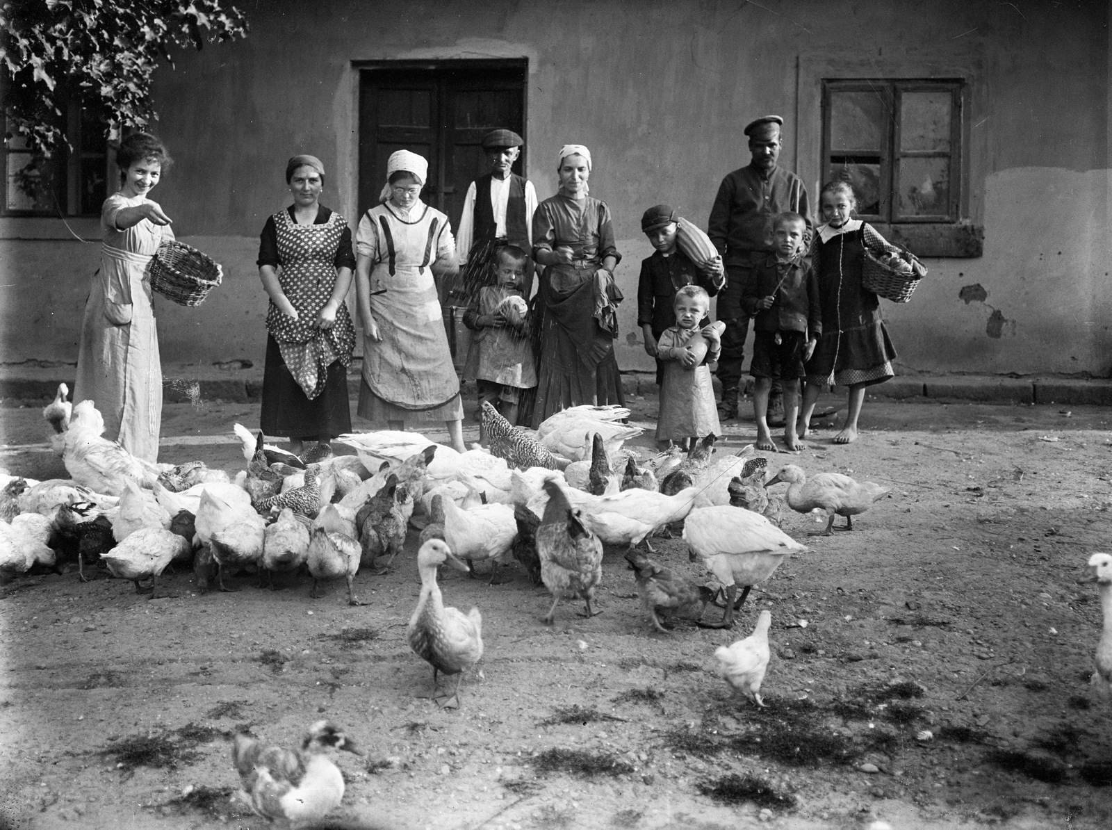 1912, Magyar Bálint, goose, Fortepan #55612