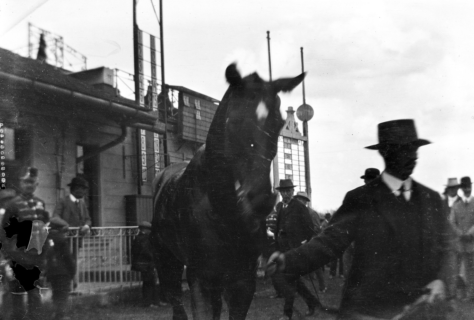 1917, Magyar Bálint, horse, horse race, Fortepan #55634