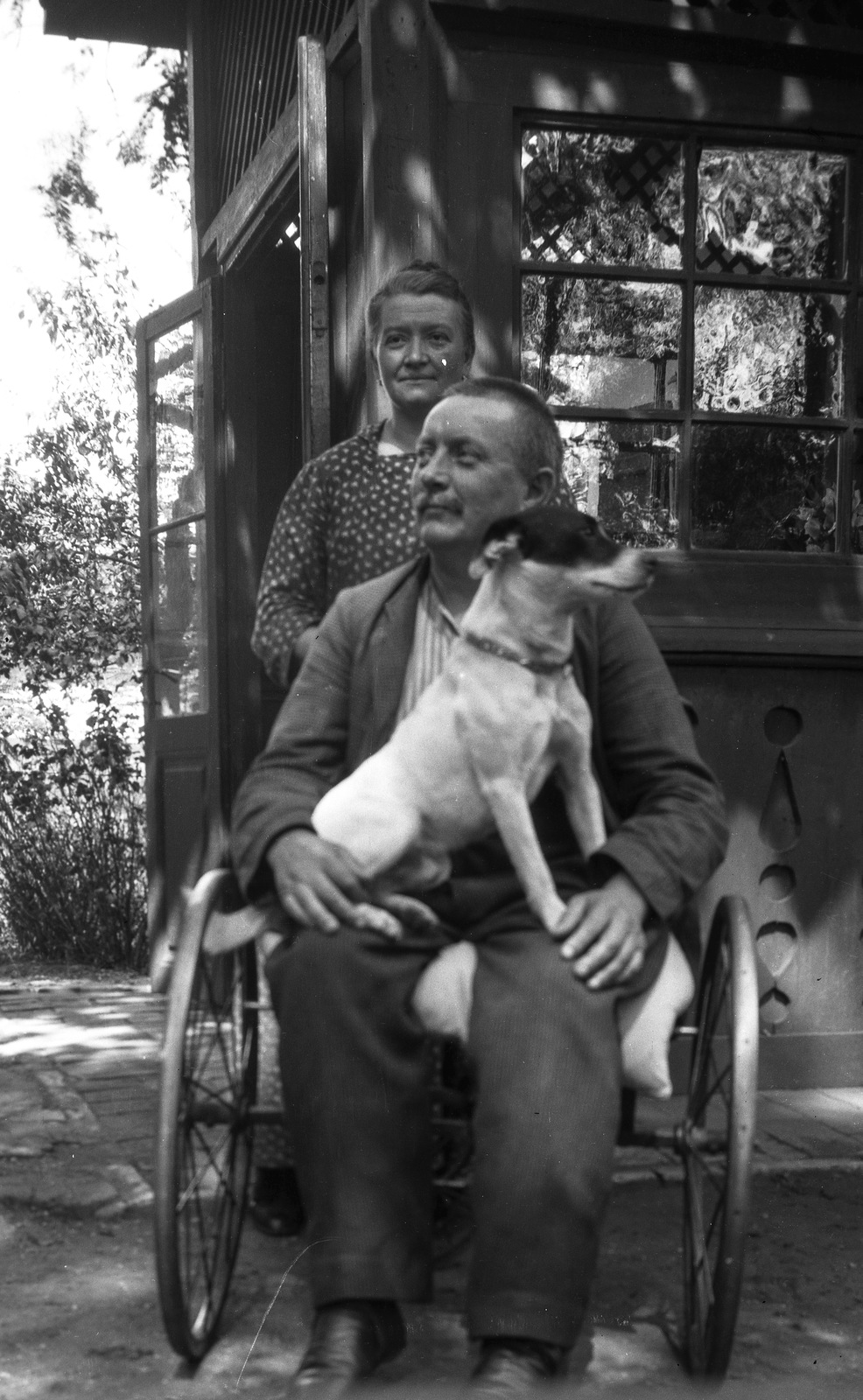 1908, Magyar Bálint, dog, invalid car, Fortepan #55639