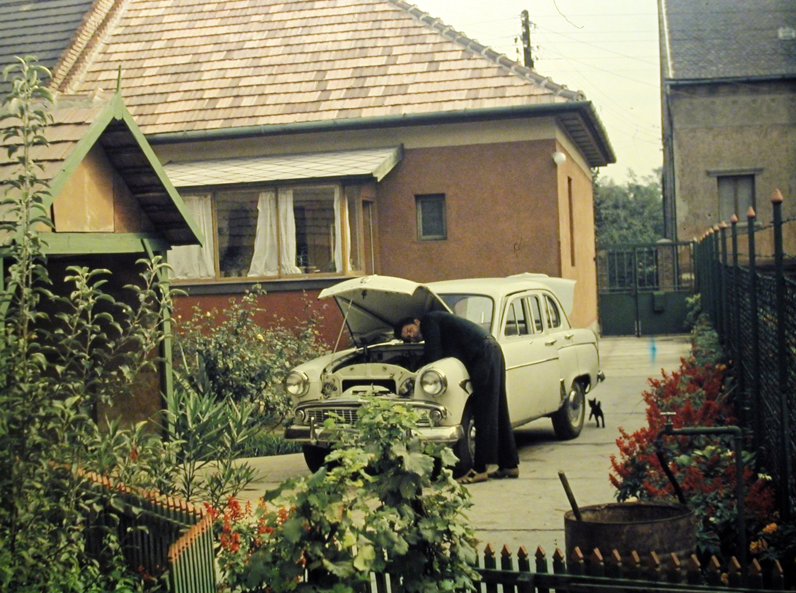 1965, Fortepan, színes, kert, Moszkvics-márka, autószerelő, autójavítás, Moszkvics 407, Fortepan #5570