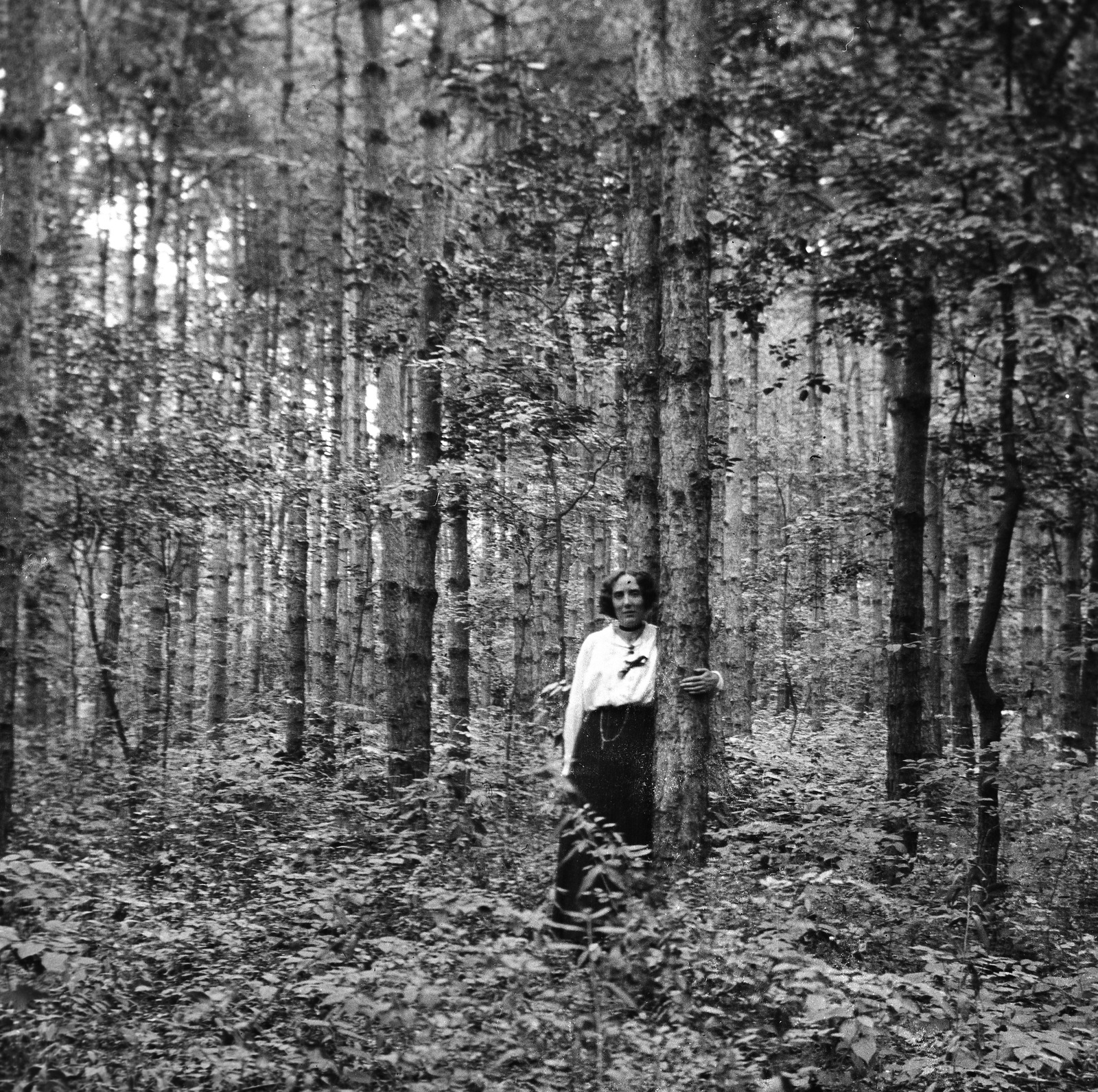 1912, Magyar Bálint, erdő, Fortepan #55700