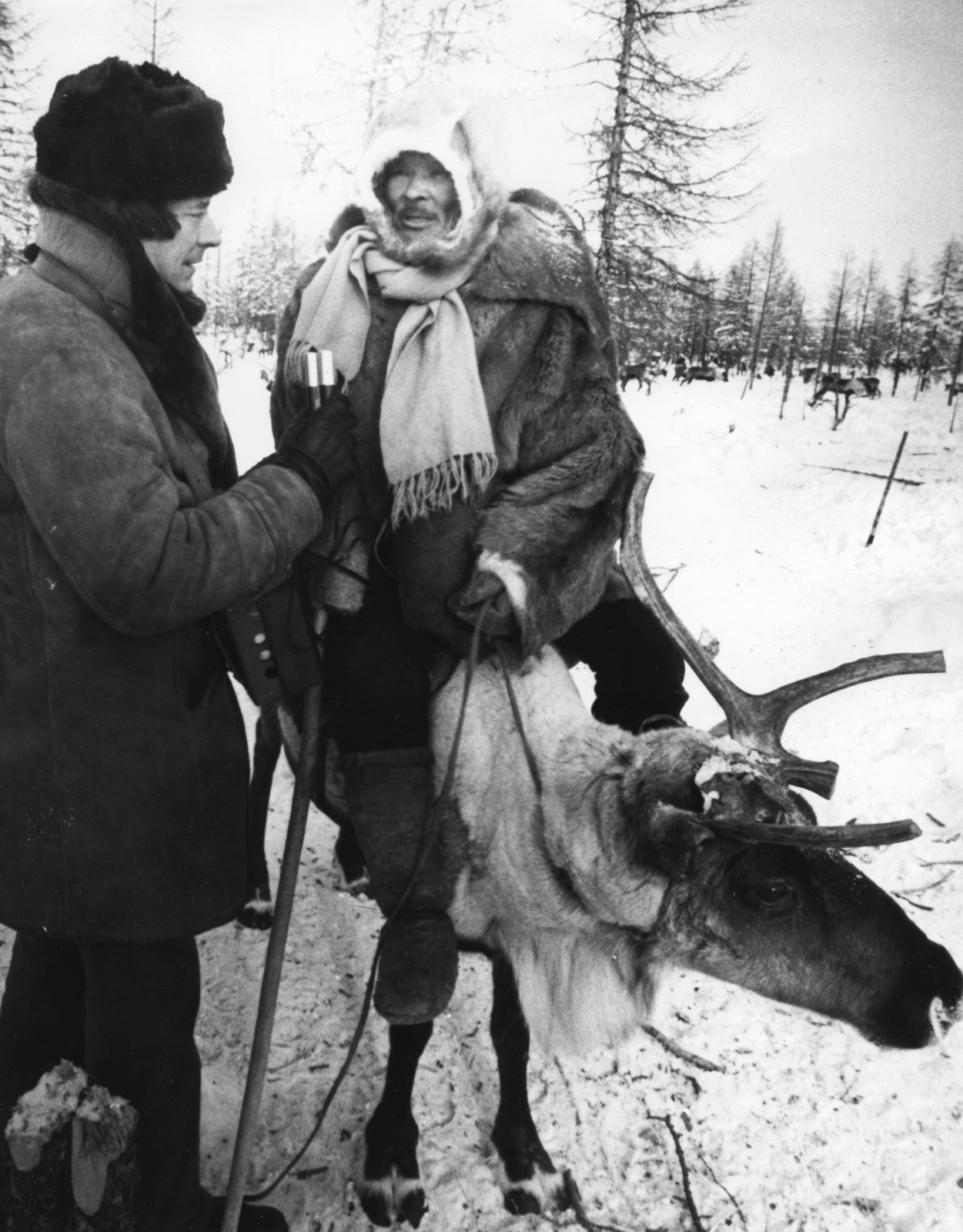Russia, Sakha (Yakutia) Republic, Földvári Géza, a Magyar Rádió moszkvai tudósítója jakut rénszarvaspásztorok között., 1980, Rádió és Televízió Újság, Zoltai Károly, Soviet Union, reporter, Hungarian Radio, fur hat, reindeer, Fortepan #56041