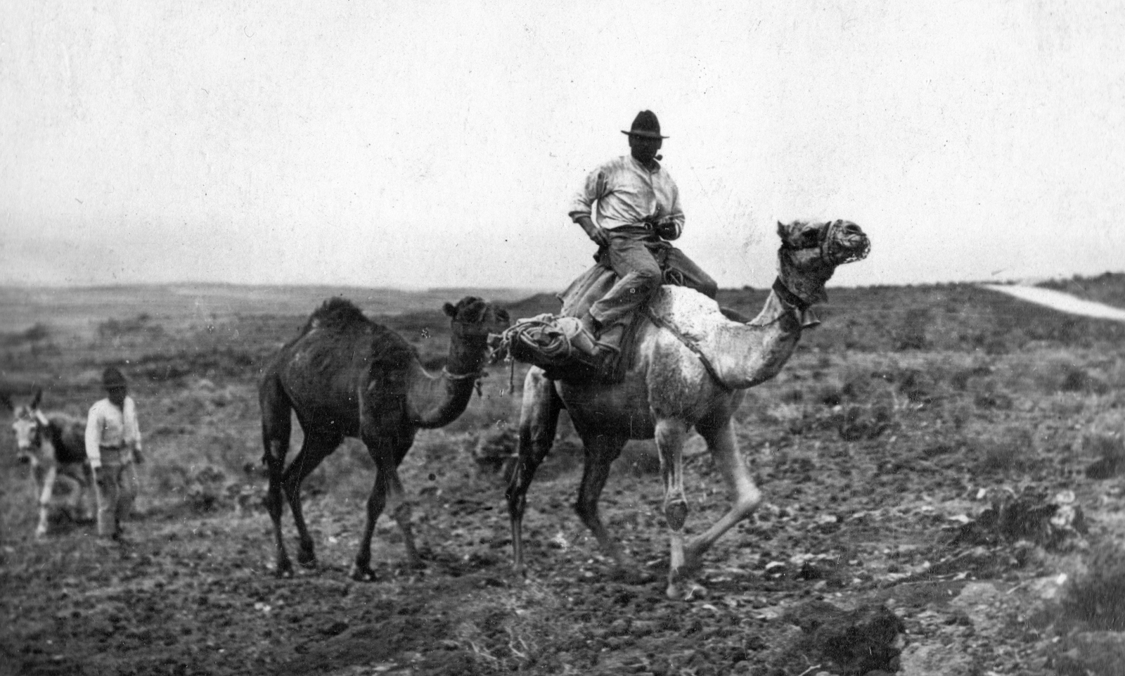 Spain,Canary Islands, hegylakók a Teide vulkán lejtőjén., 1934, Balassa Péter, donkey, camel, Fortepan #56662