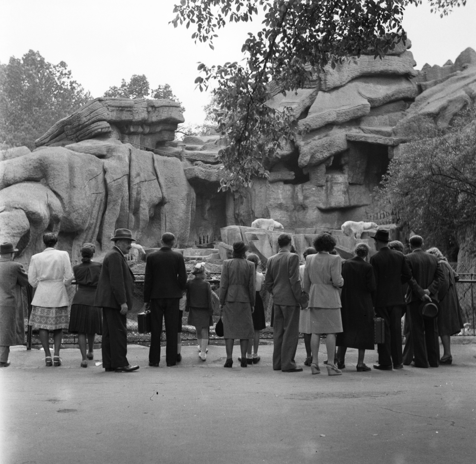 Magyarország, Városliget,Állatkert, Budapest XIV., Kisszikla., 1940, Góg Emese, jegesmedve, állatkert, Budapest, Fortepan #56787