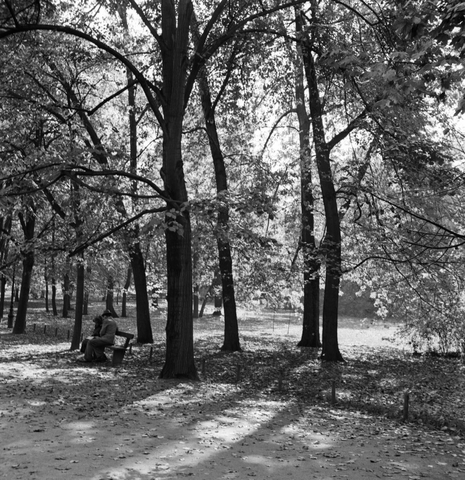 1940, Góg Emese, autumn, fallen leaves, Fortepan #56812