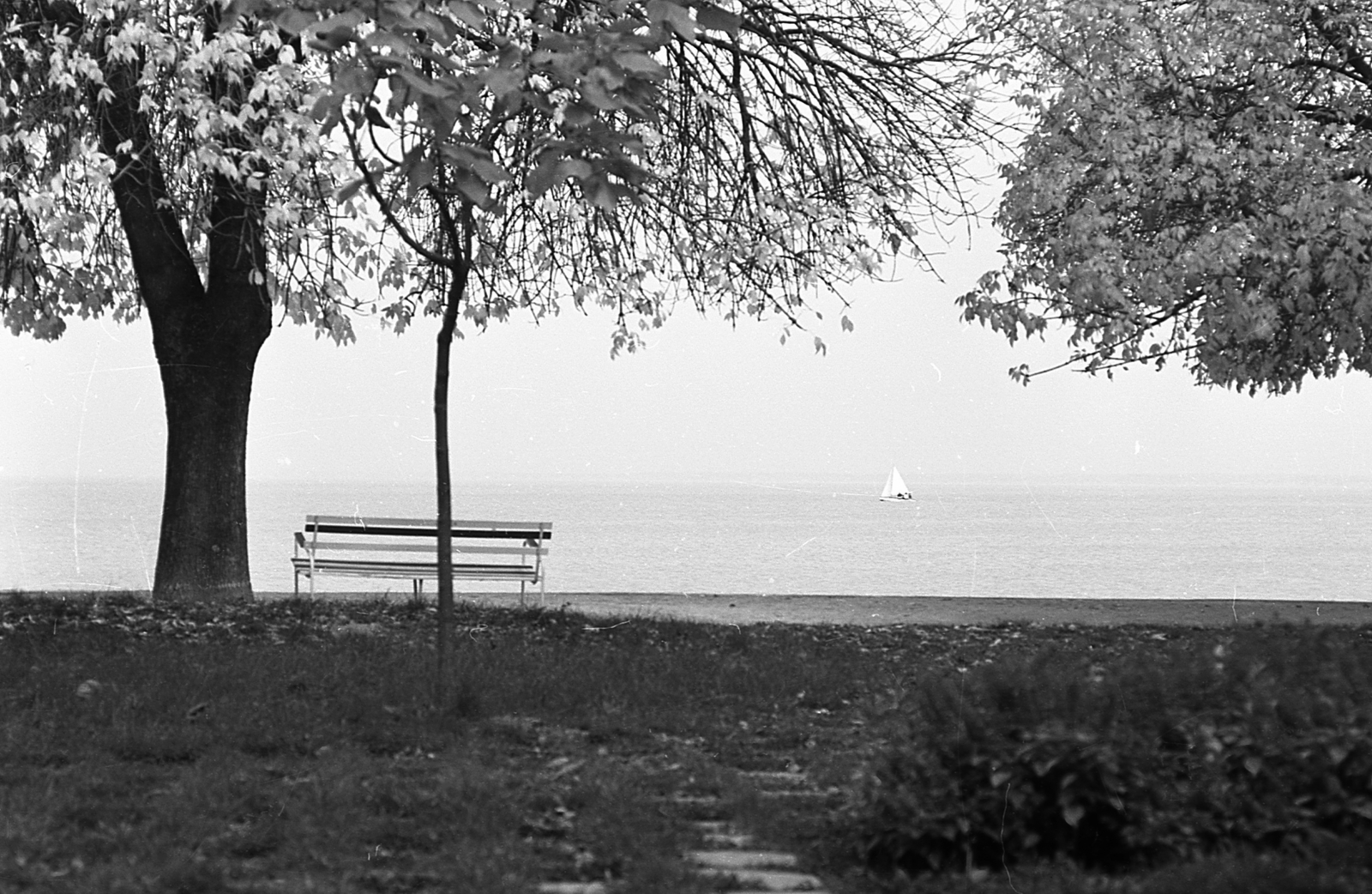 1970, Piarista Levéltár/Holl Béla, sailboat, bench, Fortepan #56902