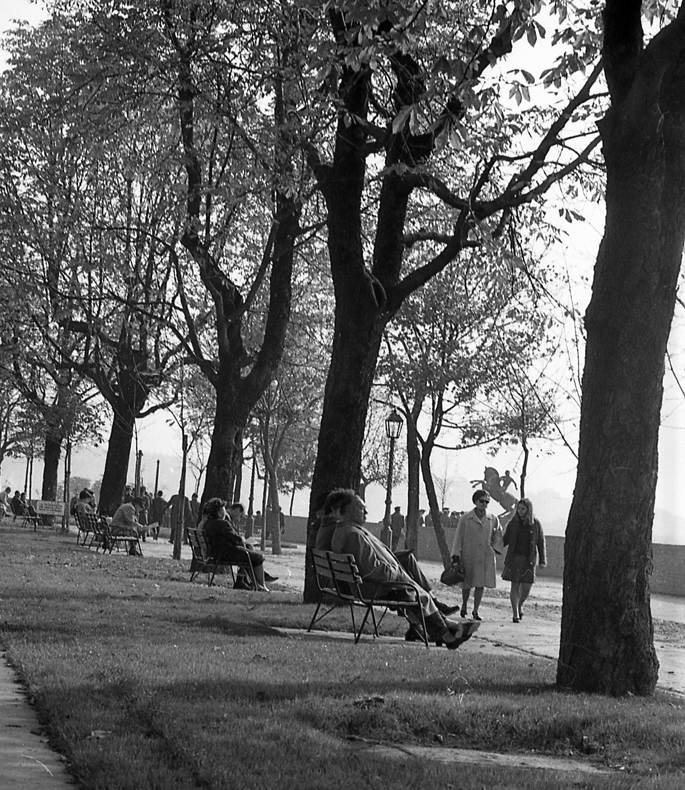 Magyarország, budai Vár, Budapest I., Tóth Árpád sétány, háttérben a Veli bej rondella és az erdélyi kettes huszárok emlékére állított lovasszobor., 1970, Piarista Levéltár/Holl Béla, utcabútor, séta, utcakép, életkép, pihenés, fasor, pad, gázlámpa, Budapest, Fortepan #56925