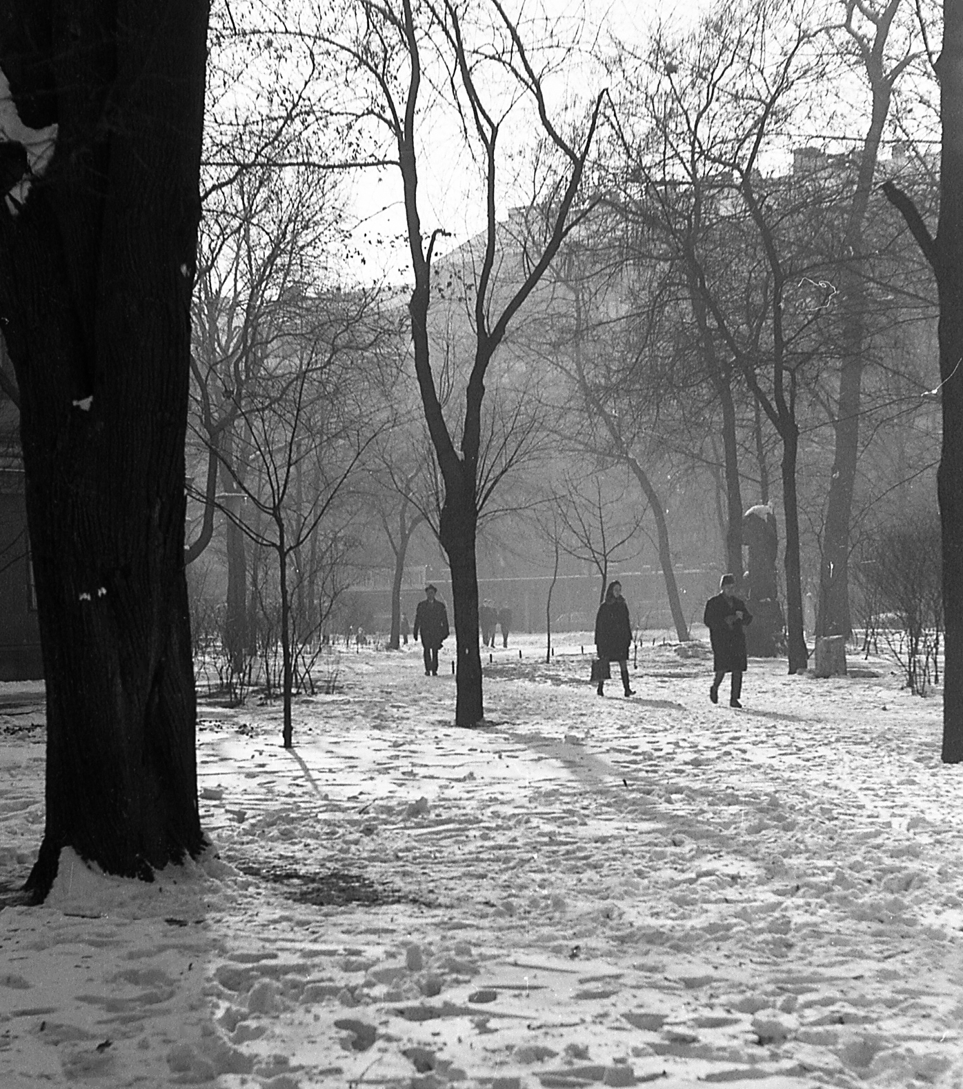 Hungary, Budapest VIII., Múzeumkert., 1971, Piarista Levéltár/Holl Béla, winter, snow, Budapest, pedestrian, wood, Fortepan #56980