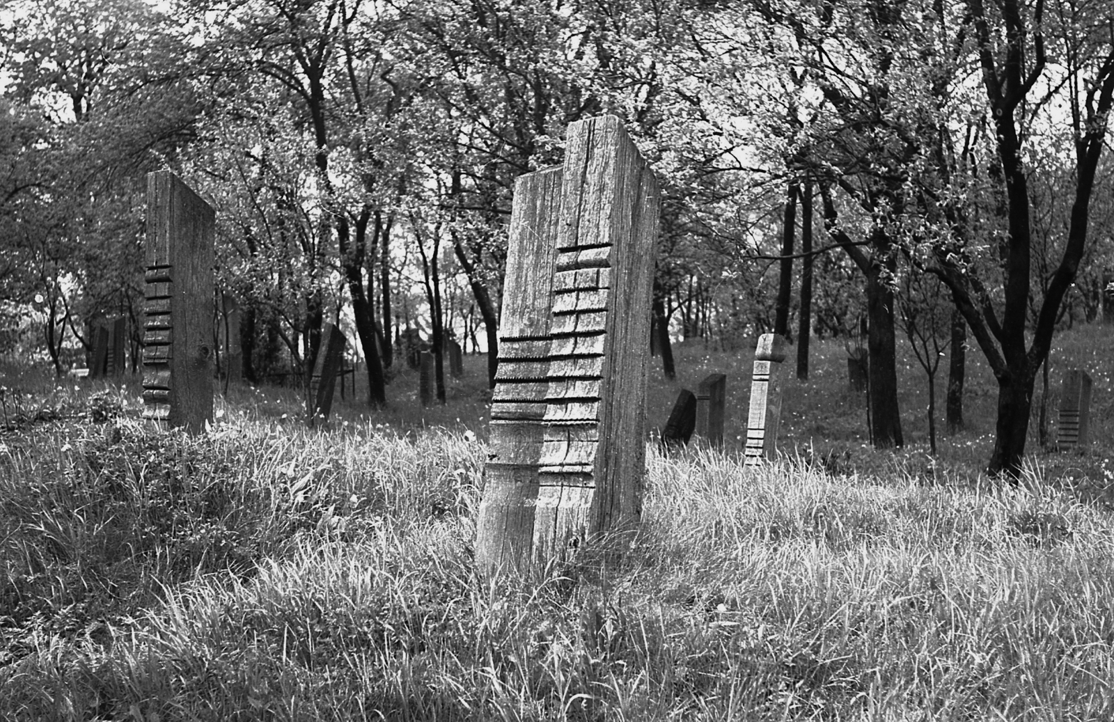 Hungary, Telkibánya, kopjafás temető., 1972, Piarista Levéltár/Holl Béla, headstone, cemetery, Fortepan #57008