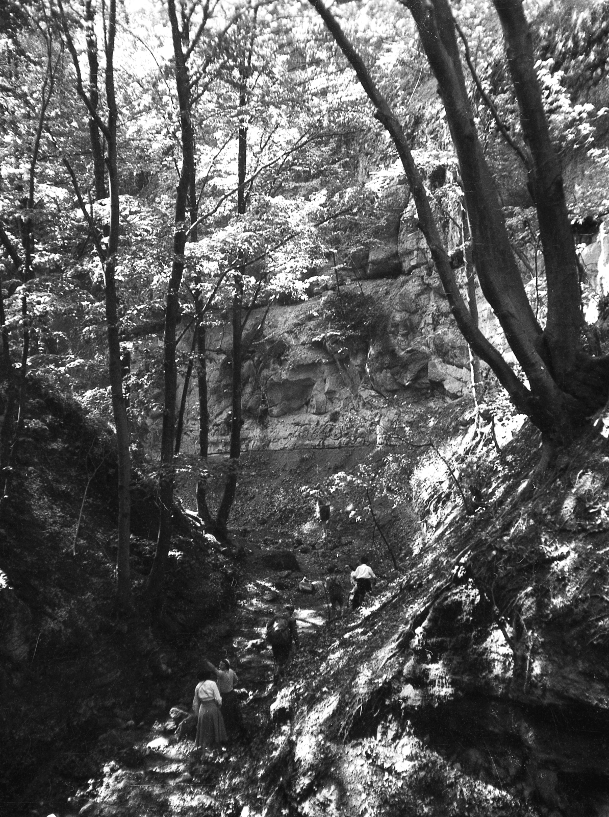 Hungary, Holdvilág-árok., 1935, Karabélyos Péter, woods, Fortepan #57213