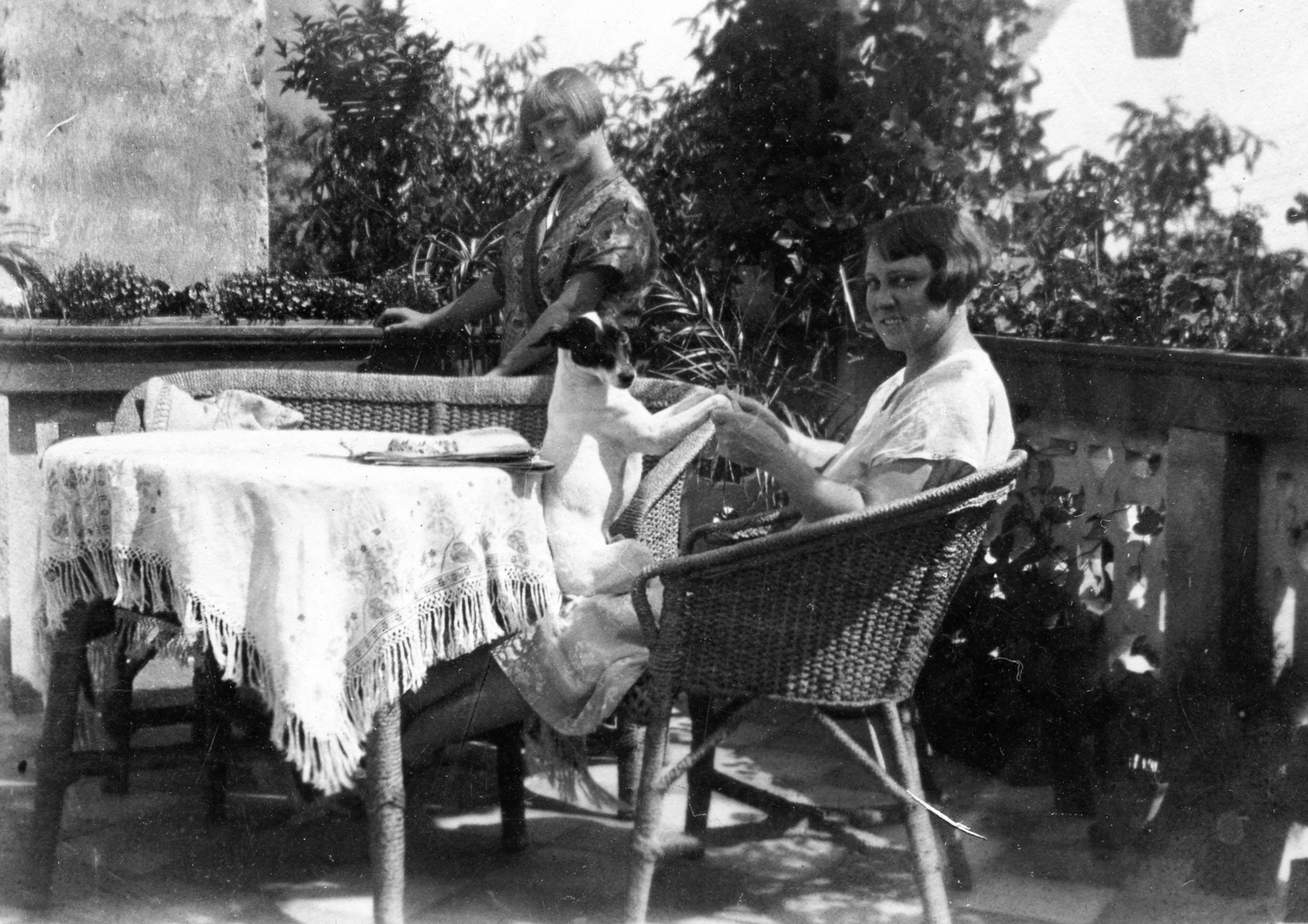 Hungary, Veszprém, Rákóczi utca 8. tetőterasza., 1921, Karabélyos Péter, dog, wicker chair, women, terrace, hairdo, Fortepan #57431