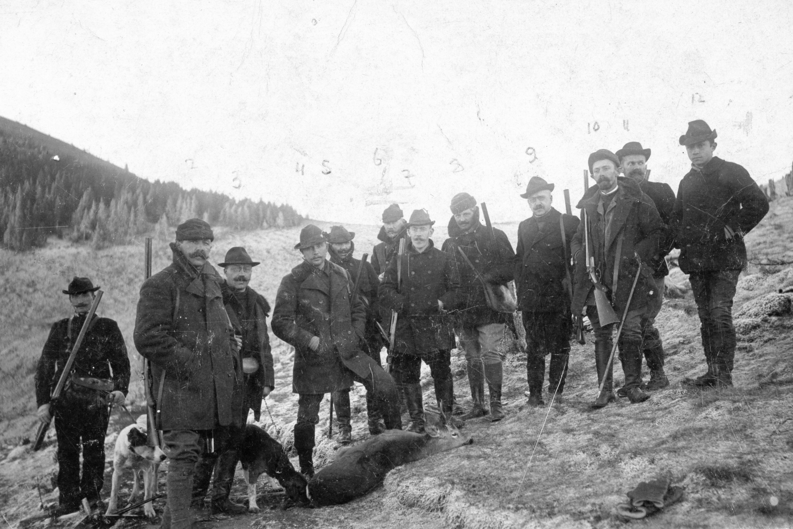 Hungary, 1920, Karabélyos Péter, dog, tableau, hunter, hunting, weapon, gun, deer, Fortepan #57458