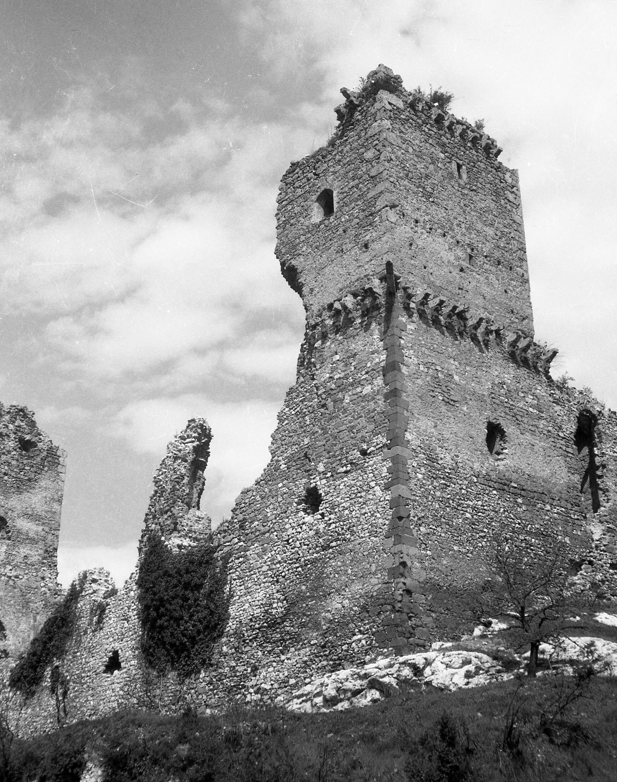 Hungary, Diósgyőr, Miskolc, Vár., 1951, Karabélyos Péter, castle ruins, Fortepan #57501