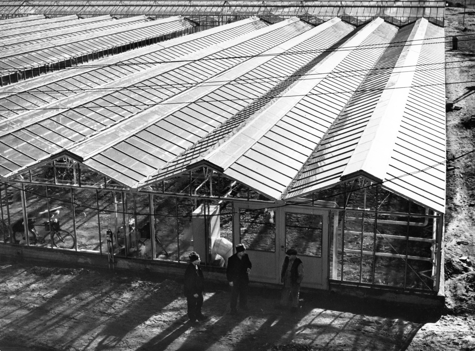 Hungary, Budapest XI., a Sasad Mgtsz üvegházai a Budaörsi út és a Felsőhatár utca között., 1970, Fortepan, bicycle, greenhouse, Budapest, Fortepan #57585