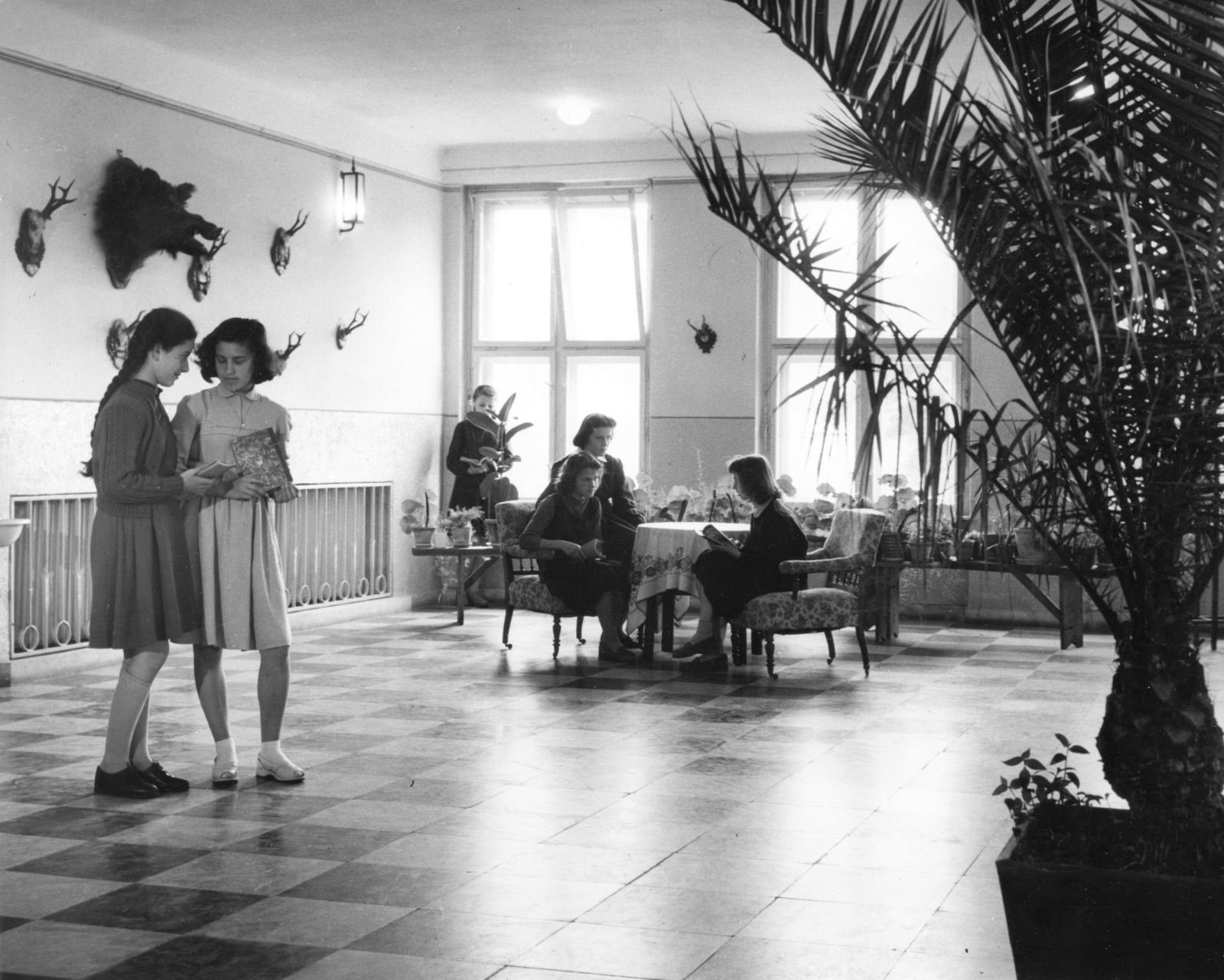 1963, Fortepan, trófea, nők, lányok, növény, Fortepan #57623