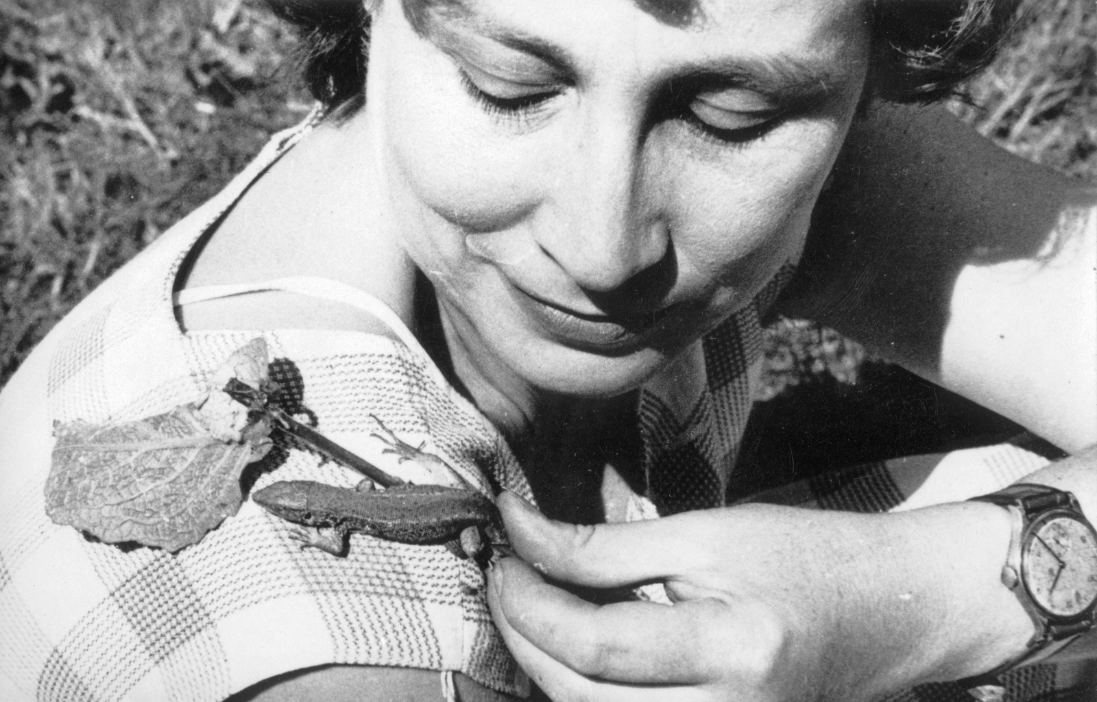 1965, Botár Angéla, wrist watch, lady, lizard, Fortepan #57905