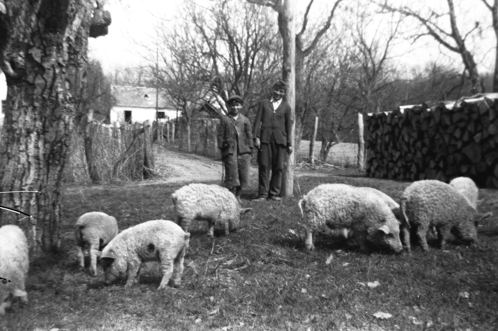 1938, Baráth Endre, pig, Fortepan #58085