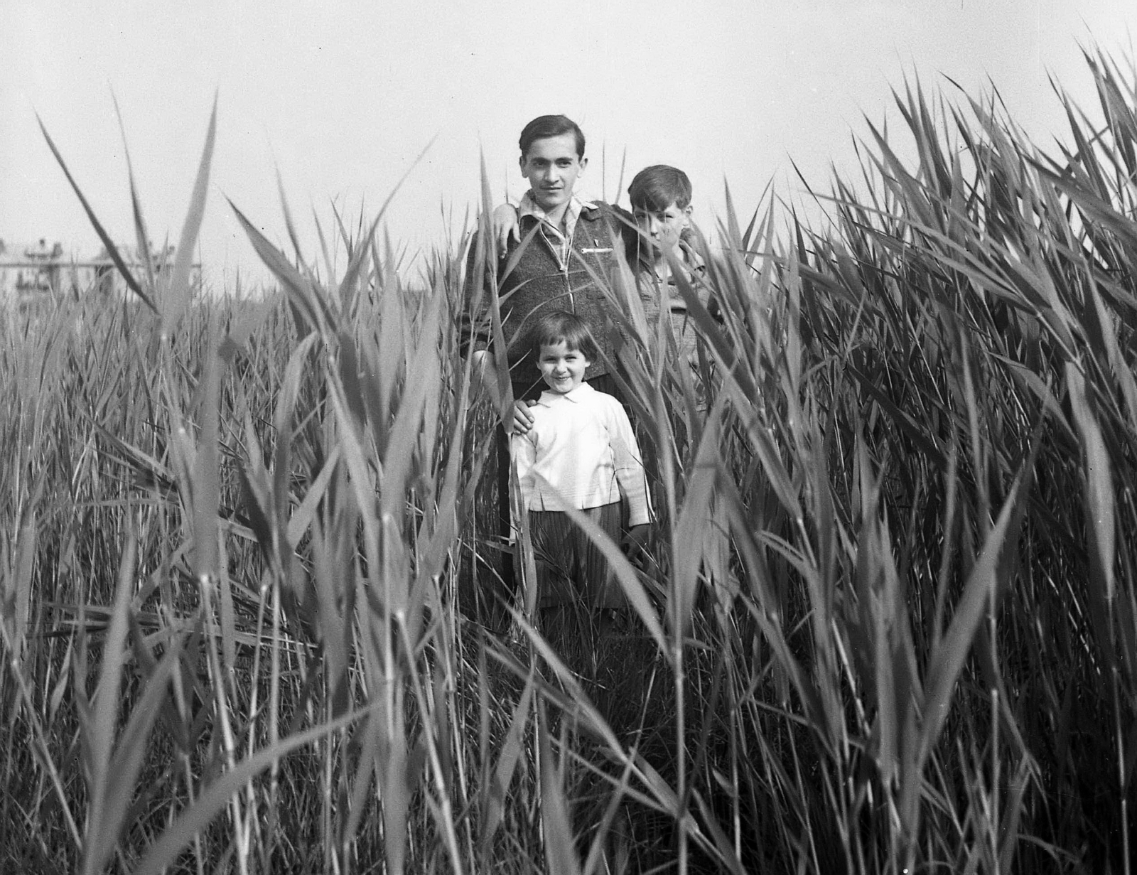 Magyarország, Budapest XI., lápos terület a mai Bikás-park helyén, háttérben a Tétényi út házai., 1963, Domina Géza, csoportkép, nádas, Budapest, Fortepan #58176