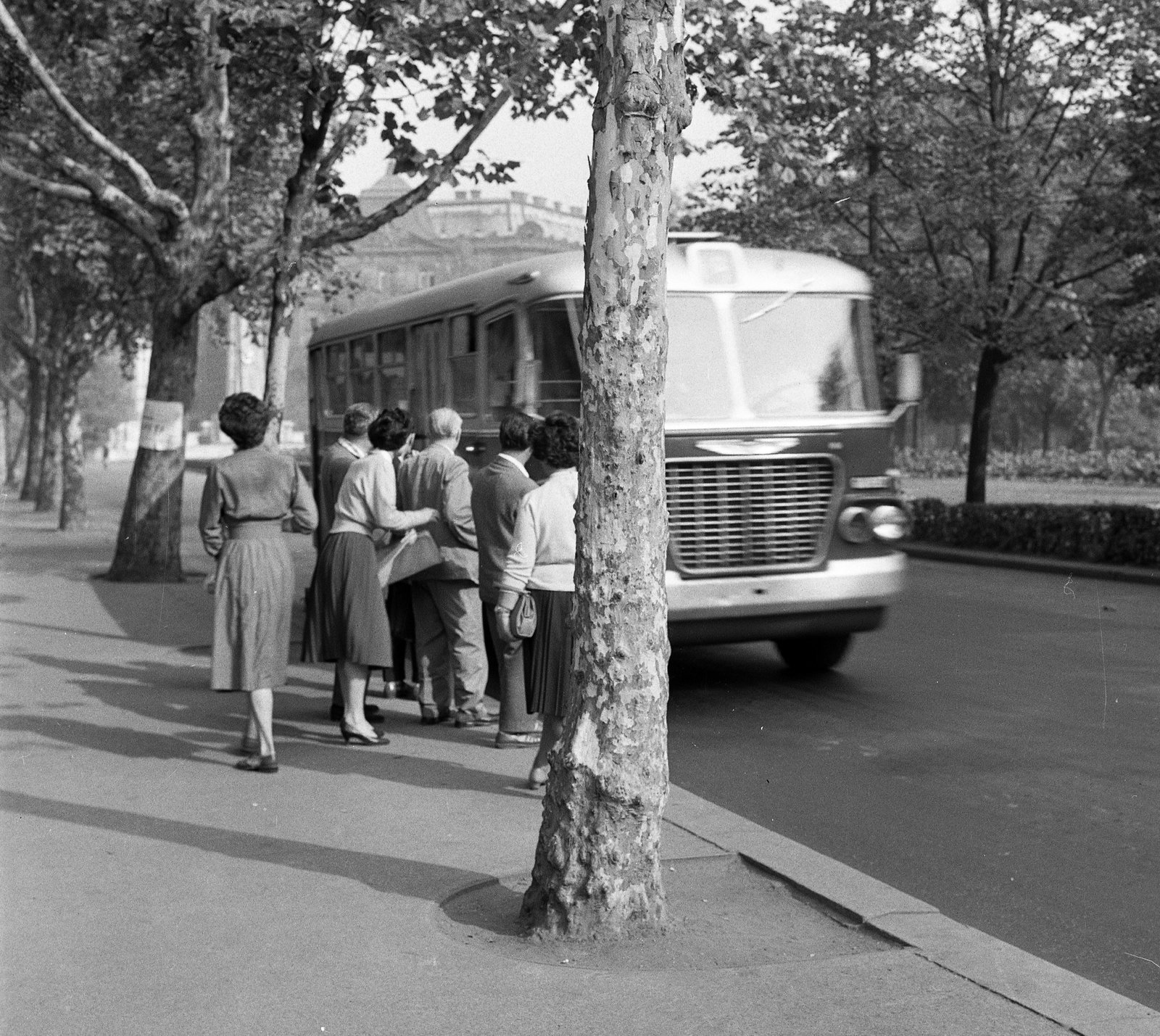 Magyarország, Budapest V., Szabadság tér, az MTV székház előtt., 1962, Nagy Gyula, autóbusz, magyar gyártmány, utcakép, életkép, Ikarus-márka, Ikarus 620/630, Budapest, Fortepan #58443