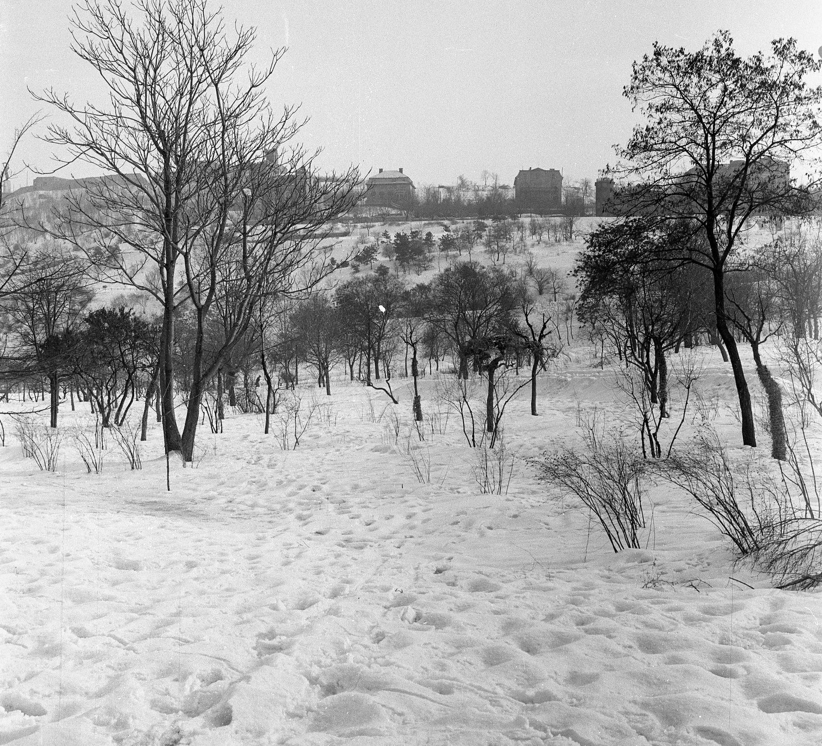 Magyarország, Tabán, Budapest I., szemben a Gellért-hegy az Orom utca és a Bérc utca házaival., 1963, Nagy Gyula, Budapest, Fortepan #58516