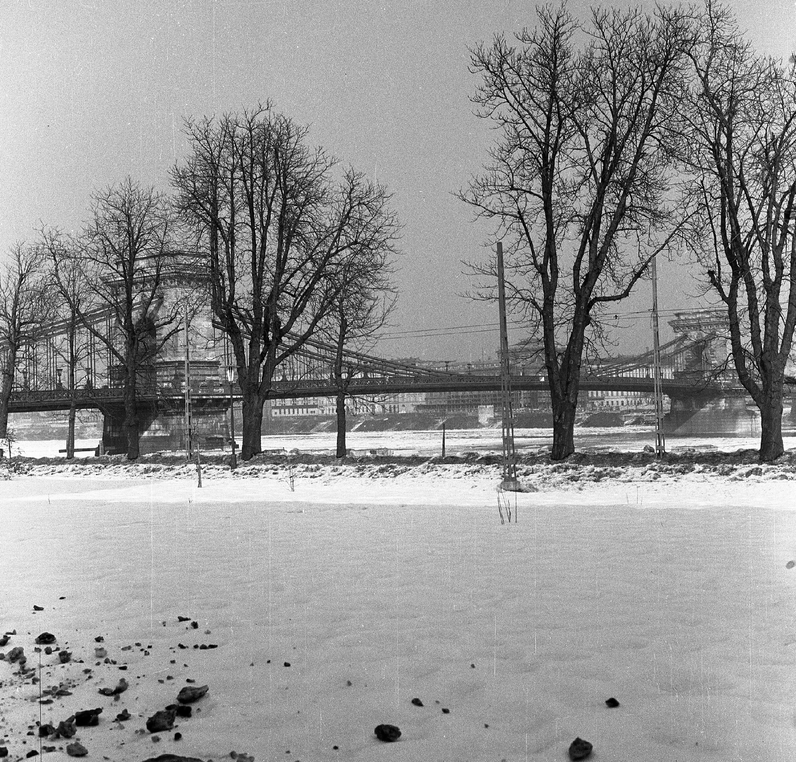 Magyarország, Budapest I., Széchenyi Lánchíd a Lánchíd utcai parkból nézve., 1963, Nagy Gyula, Duna, Budapest, függőhíd, William Tierney Clark-terv, Fortepan #58519