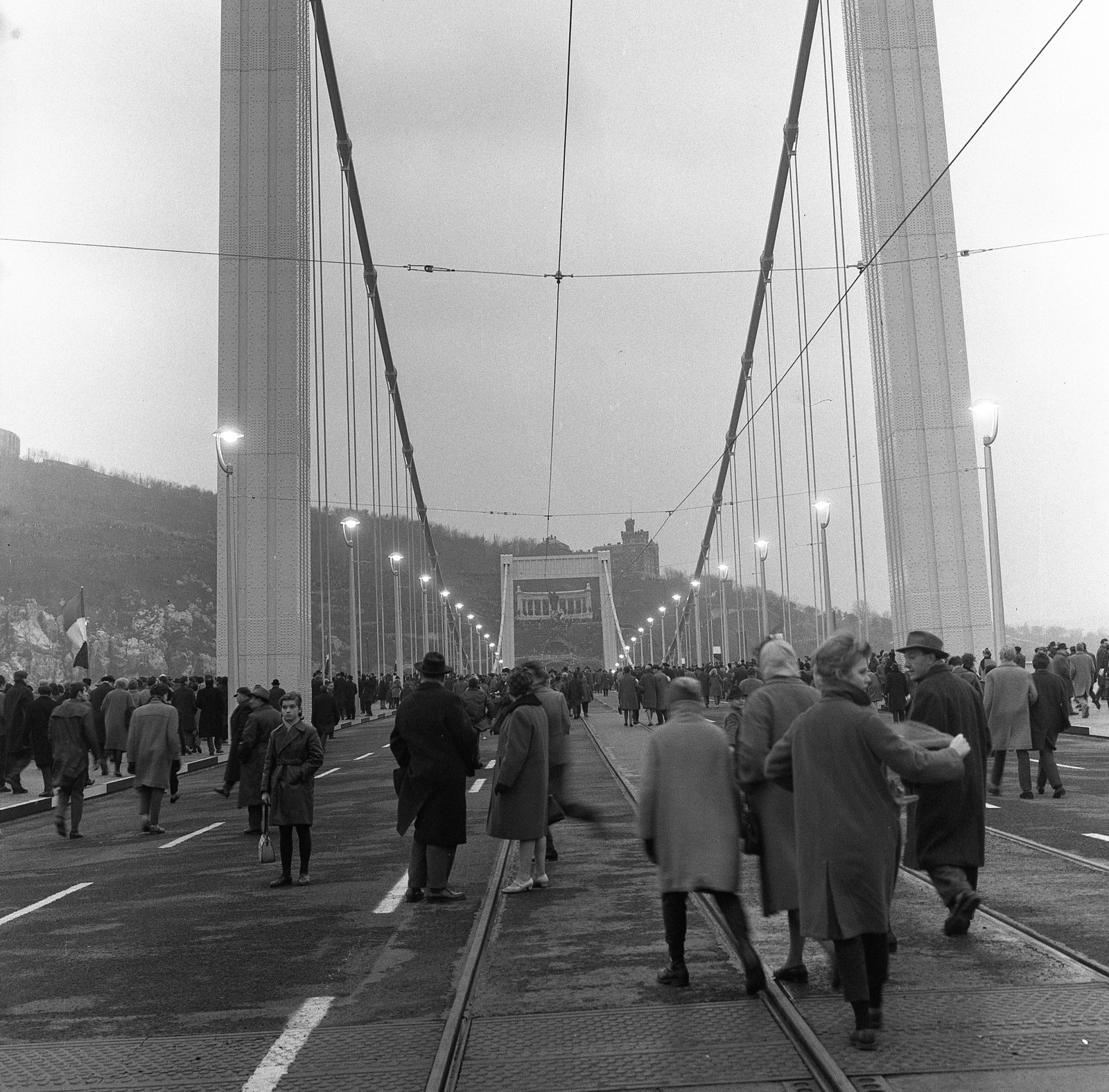 Magyarország, Budapest V., Erzsébet híd, a pesti hídfőtől a Gellért-hegy felé nézve a híd avatásakor., 1964, Nagy Gyula, híd, Budapest, Duna-híd, Fortepan #58549