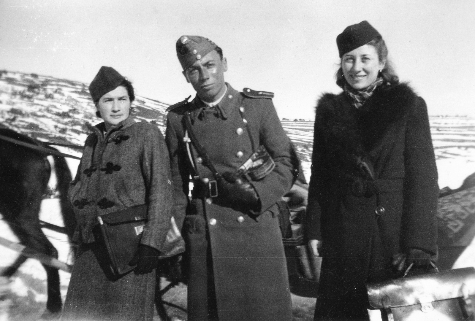 1940, Orosz Heléna, sleigh, Fortepan #58652