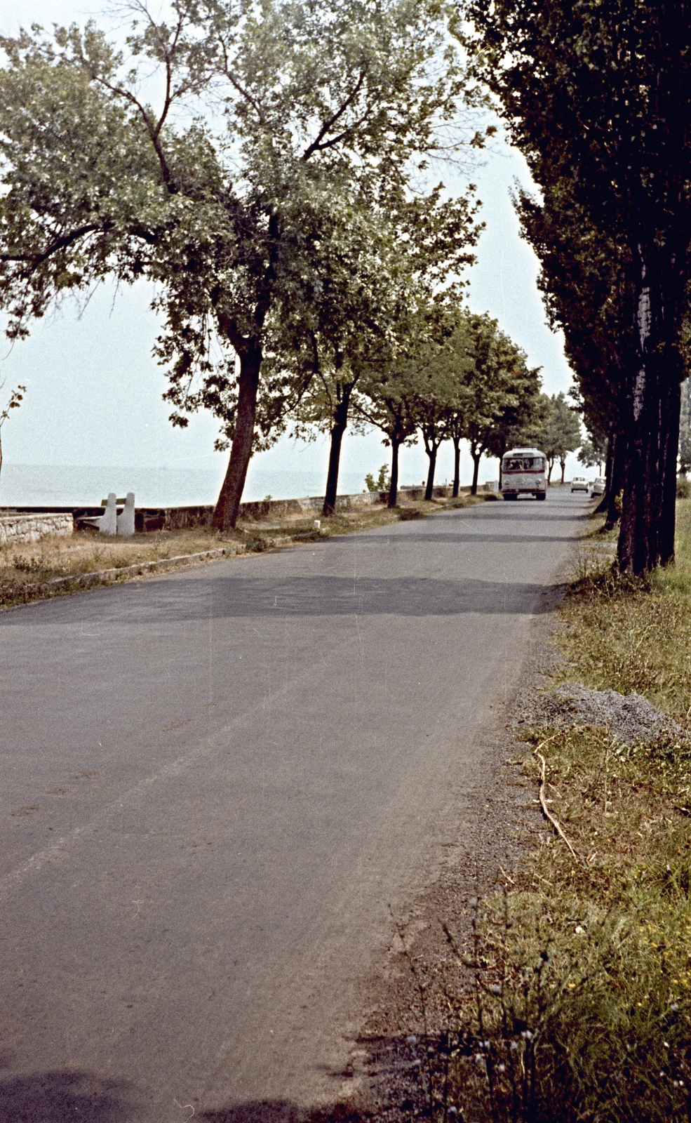 Magyarország,Balaton, Tihanyi-félsziget, a parti út a félsziget keleti oldalán., 1963, Herbály István, színes, autóbusz, fasor, Fortepan #58851