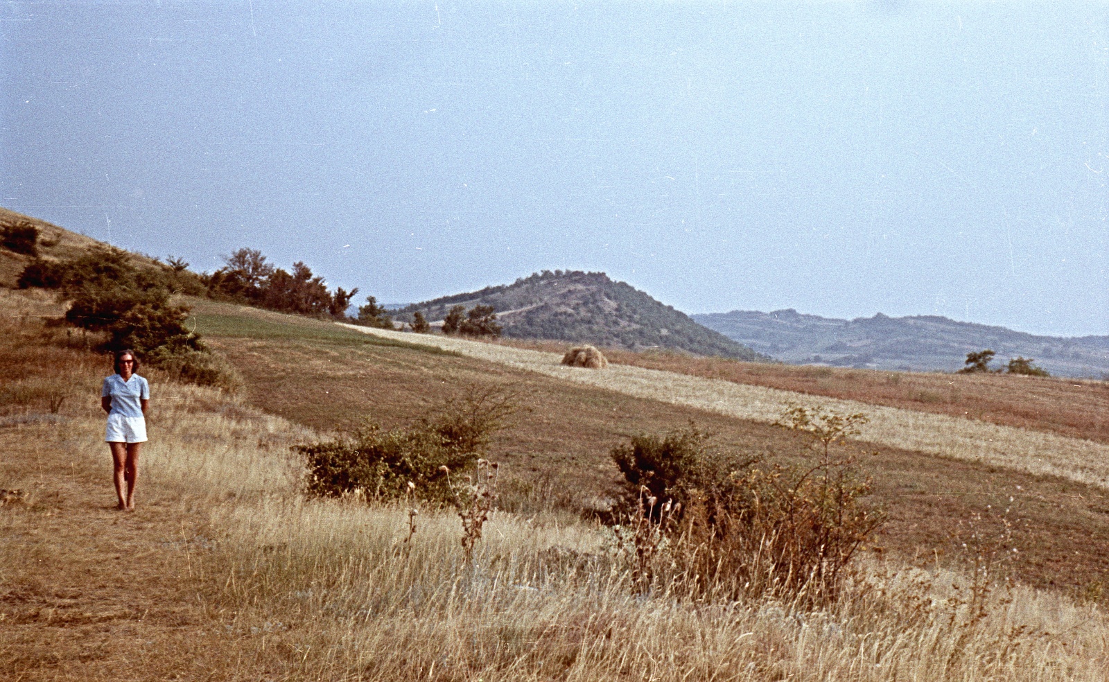 Magyarország,Balaton, Tihanyi-félsziget, az Óvár nyugati lejtője., 1963, Herbály István, színes, Fortepan #58852